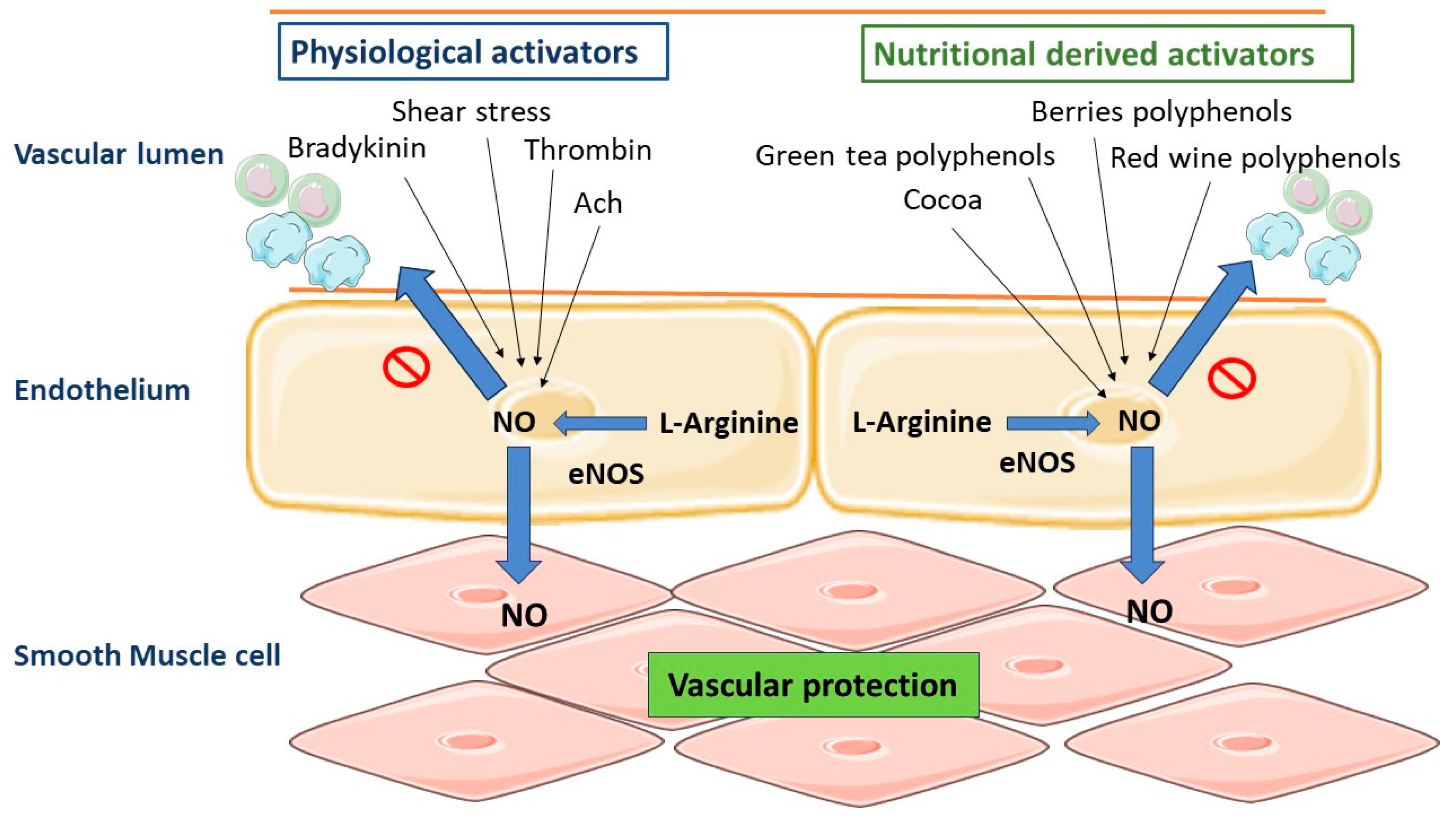 Molecules 28 06403 g008