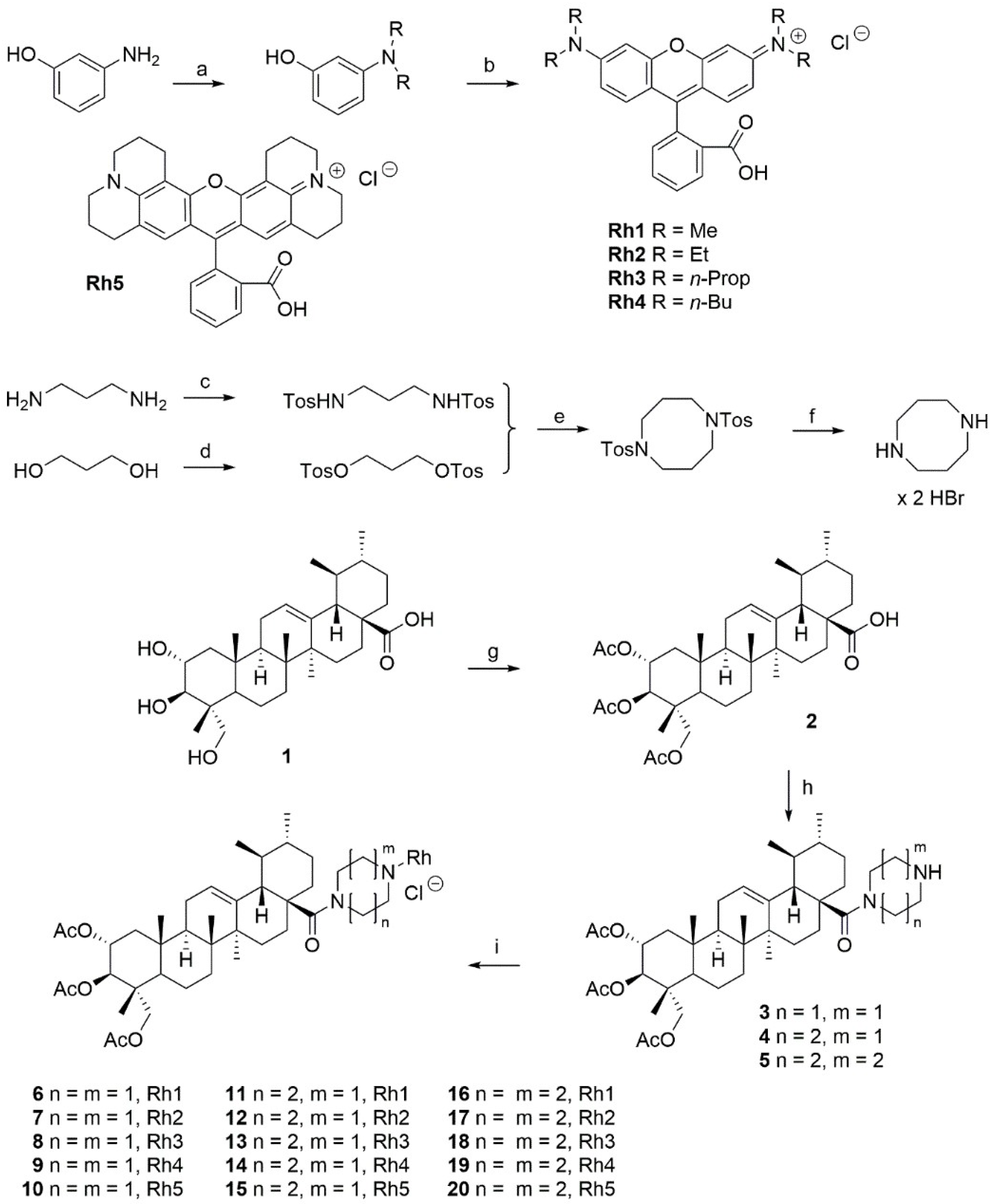 Molecules 28 06404 sch001