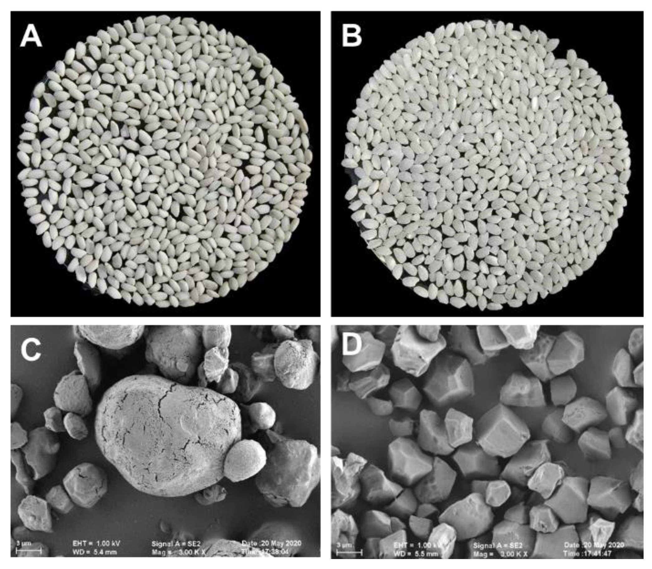 Molecules 28 06408 g001
