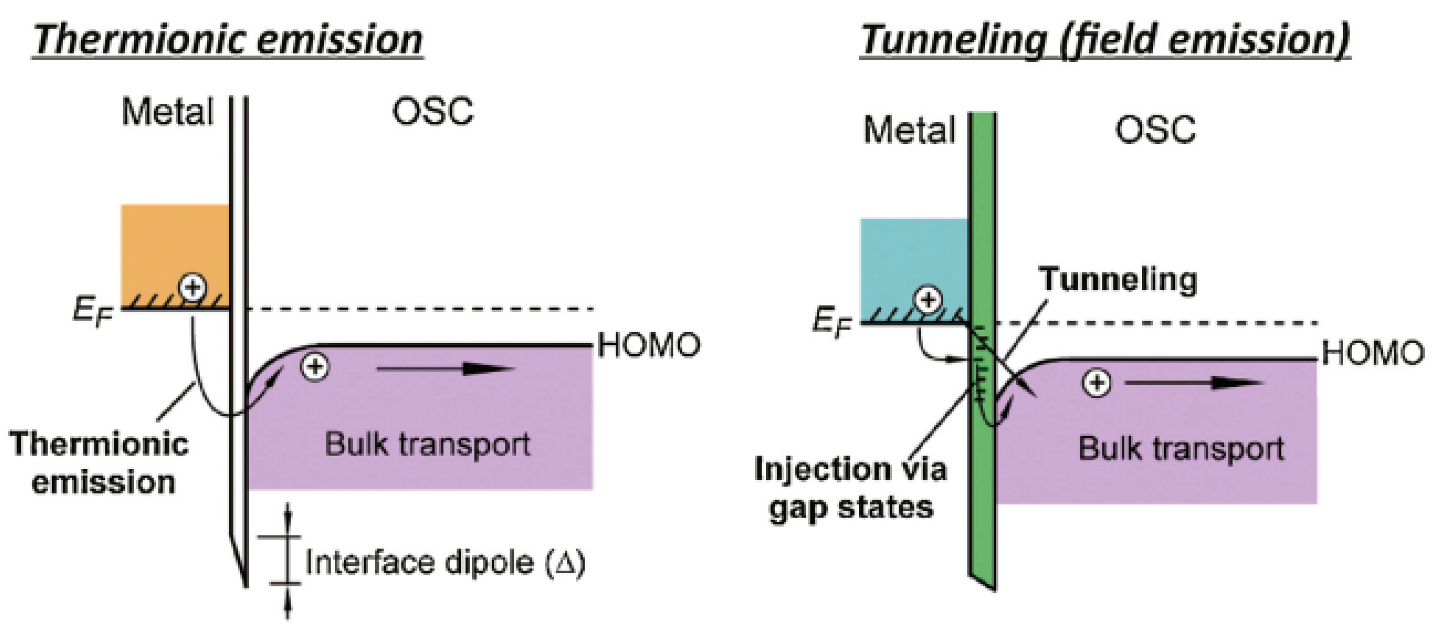 Molecules 28 06409 g001