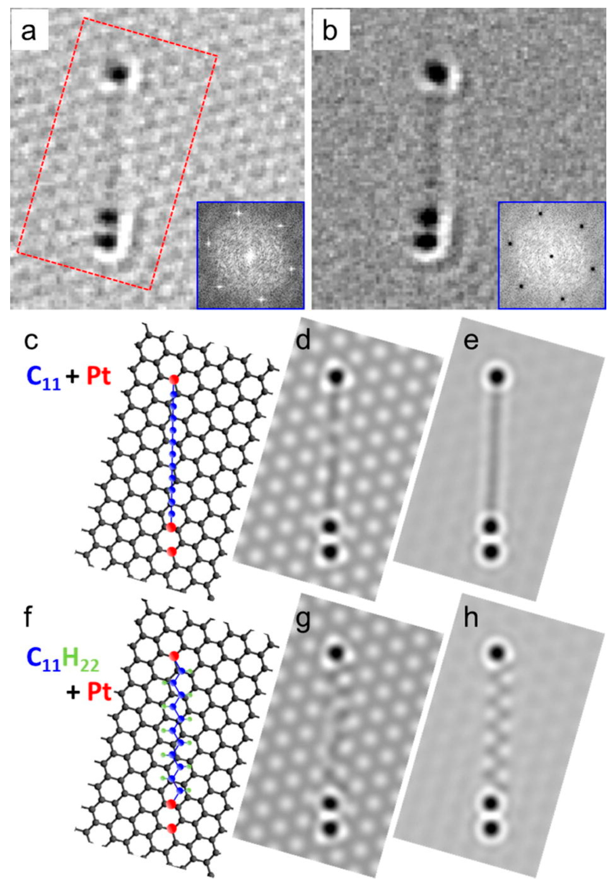 Molecules 28 06409 g017