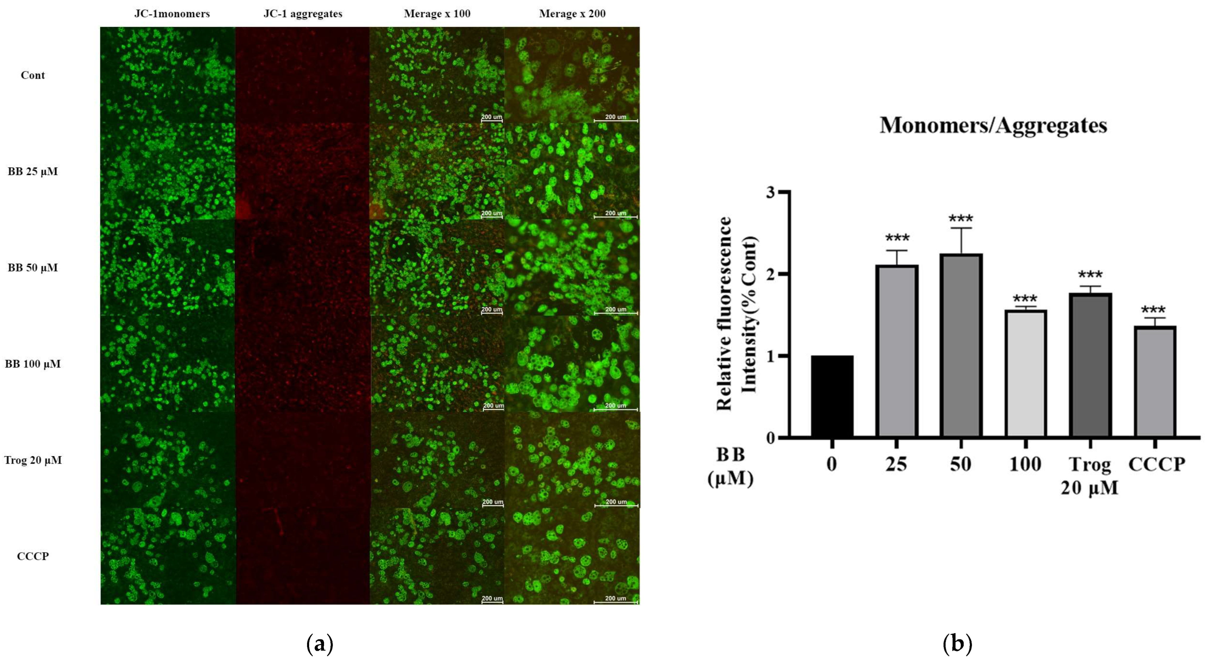 Molecules 28 06410 g005