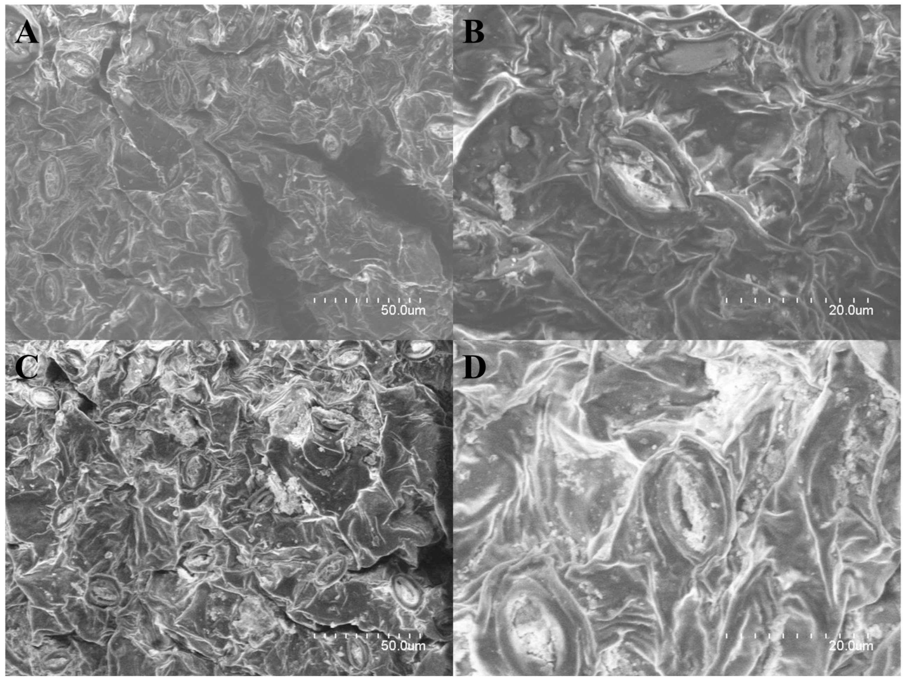 Molecules 28 06415 g001