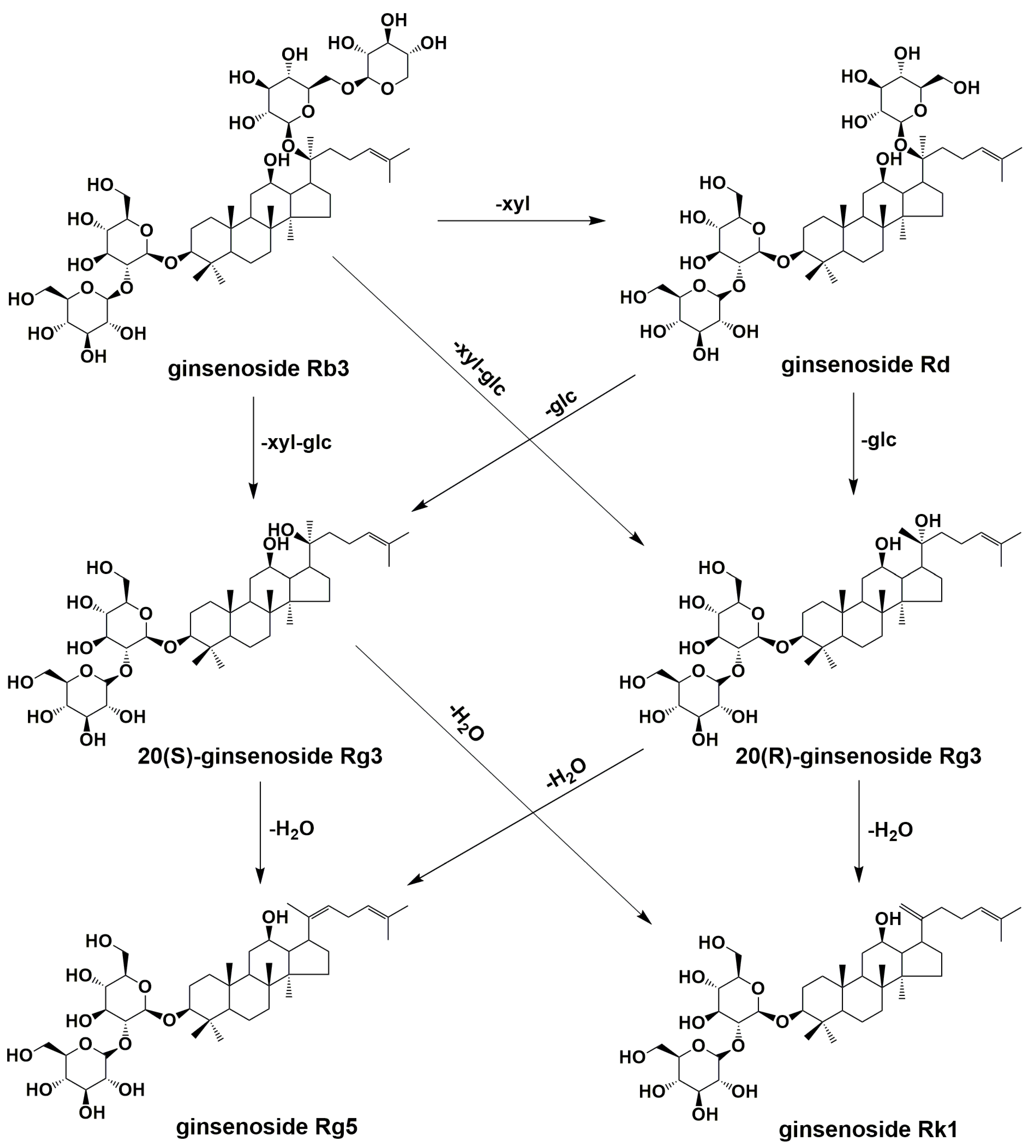 Molecules 28 06415 g006