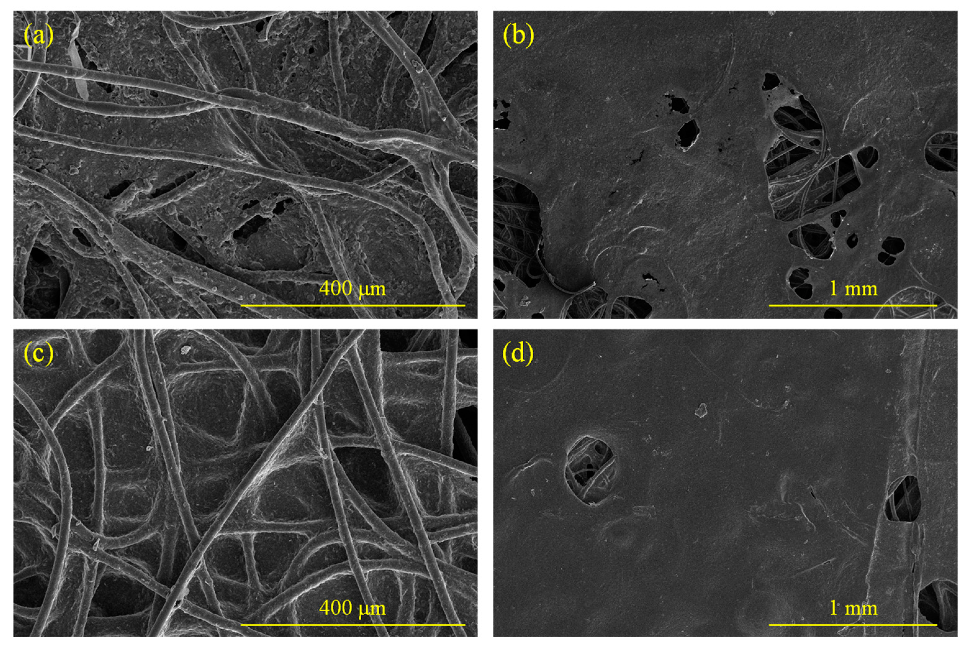 Molecules 28 06419 g003