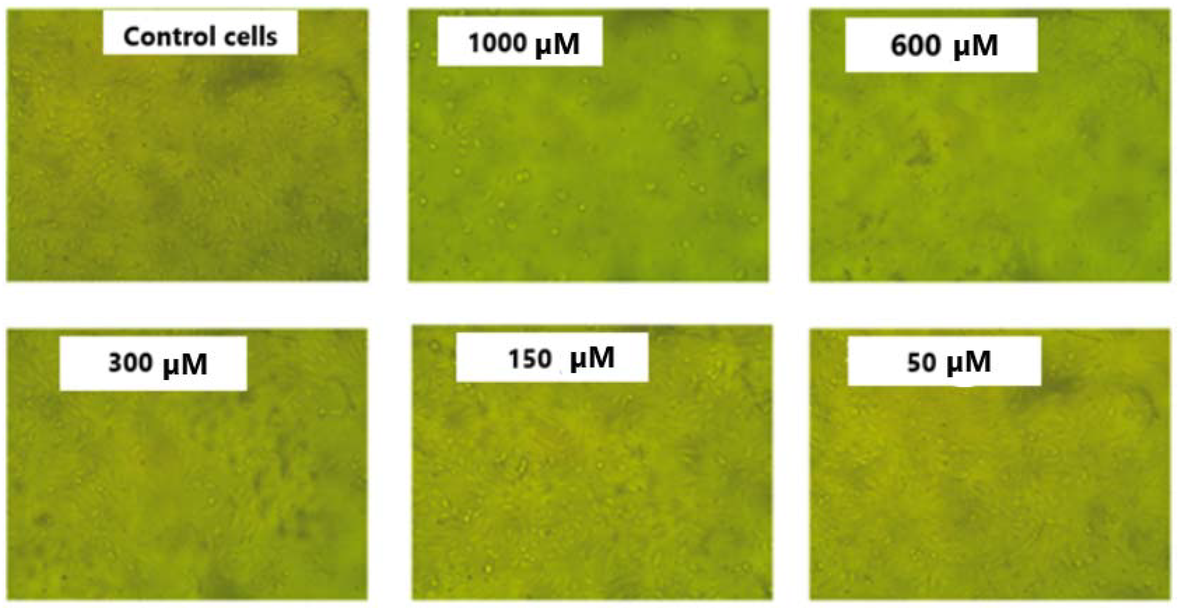 Molecules 28 06420 g004 Molecules 28 06420 g004