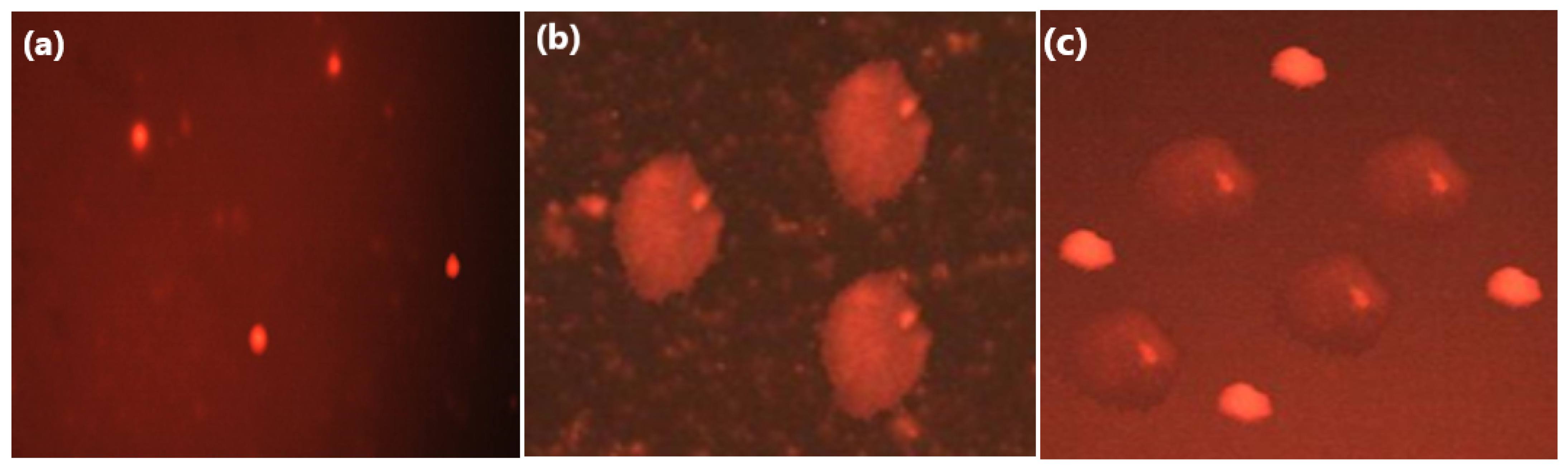 Molecules 28 06420 g006 Molecules 28 06420 g006