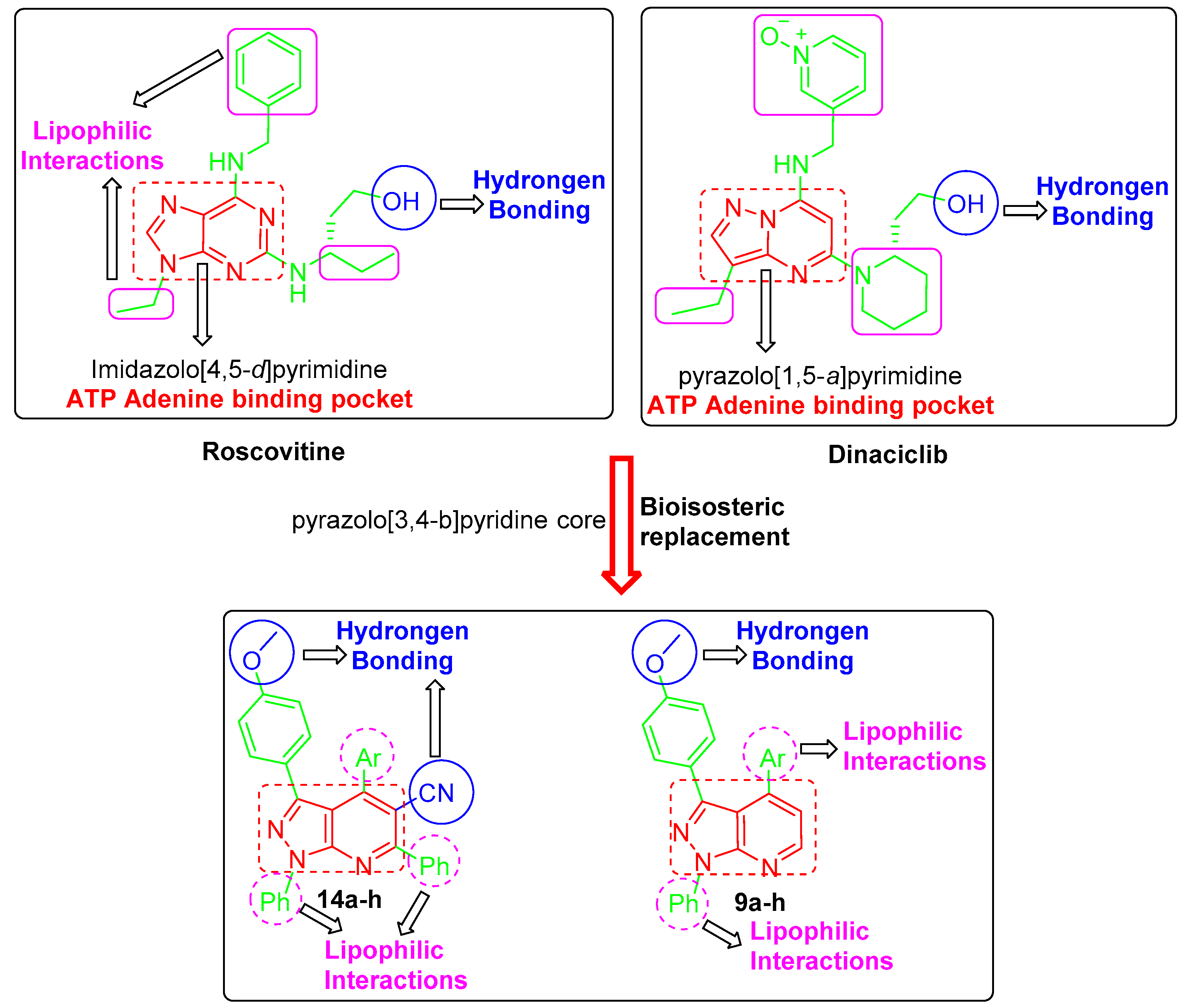 Molecules 28 06428 g002