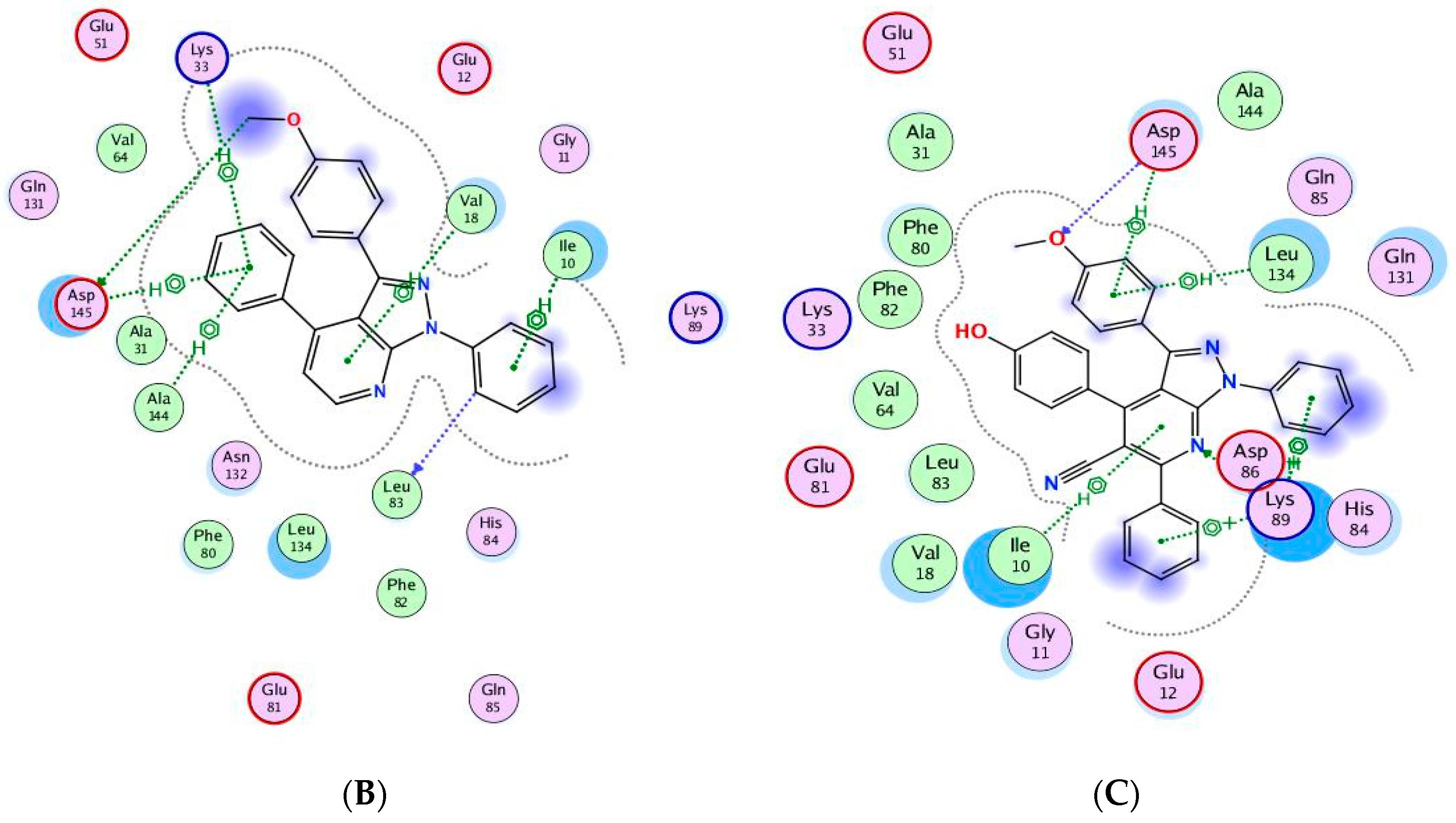 Molecules 28 06428 g008b
