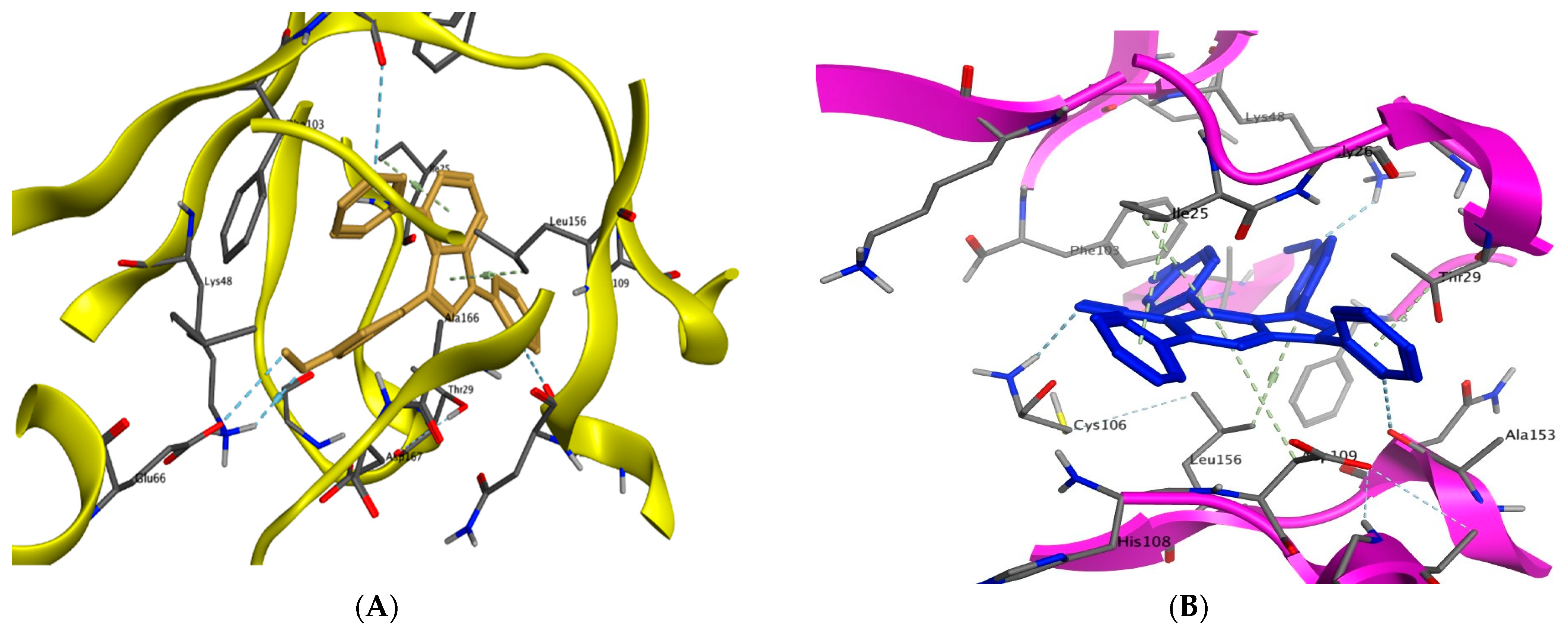Molecules 28 06428 g011