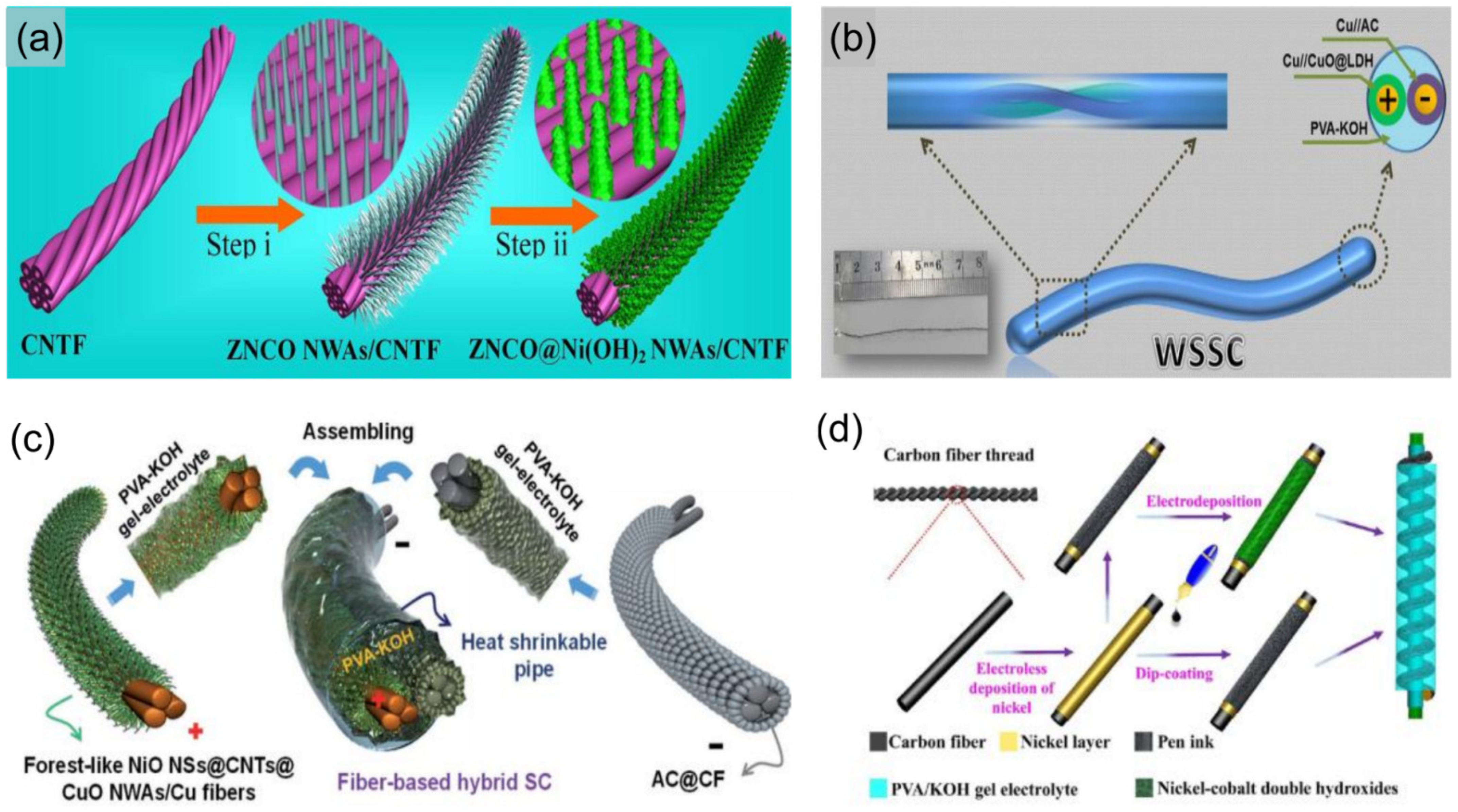 Molecules 28 06432 g011
