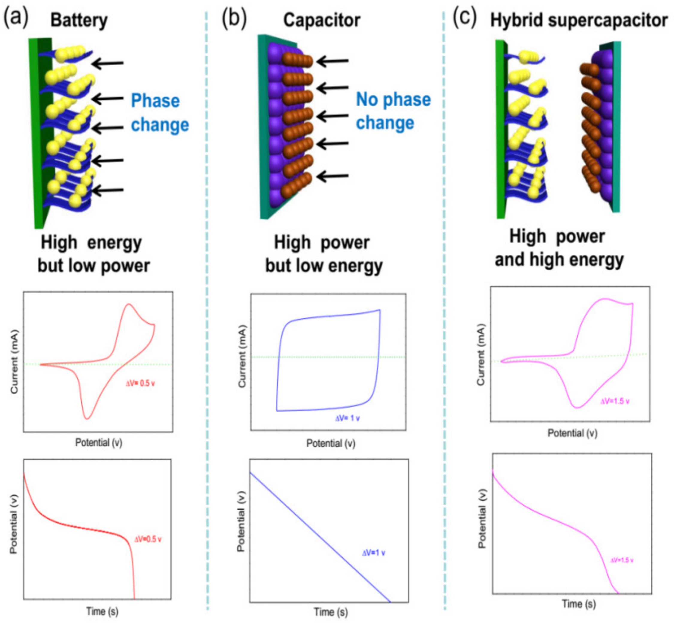 Molecules 28 06432 g012