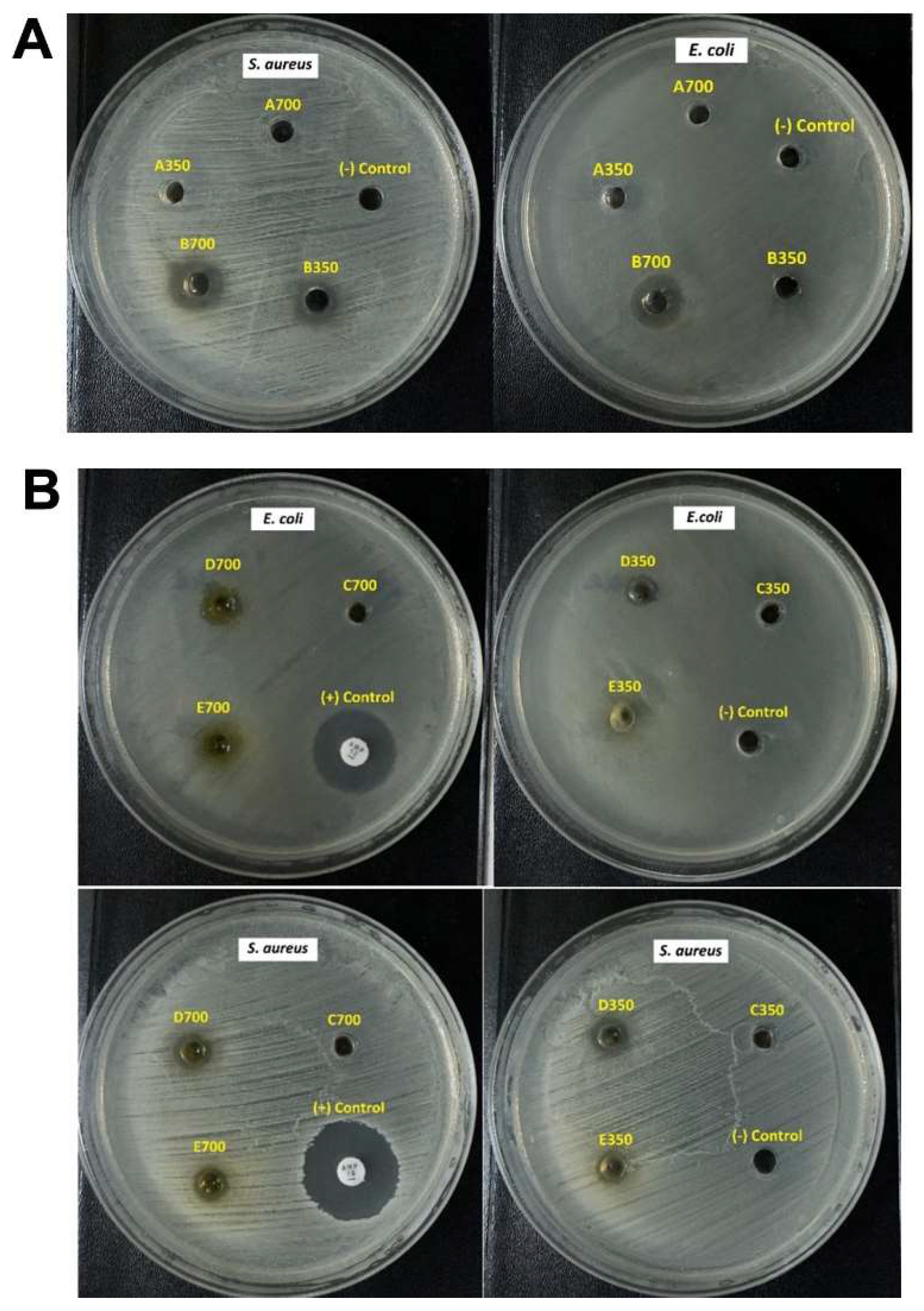 Molecules 28 06433 g004