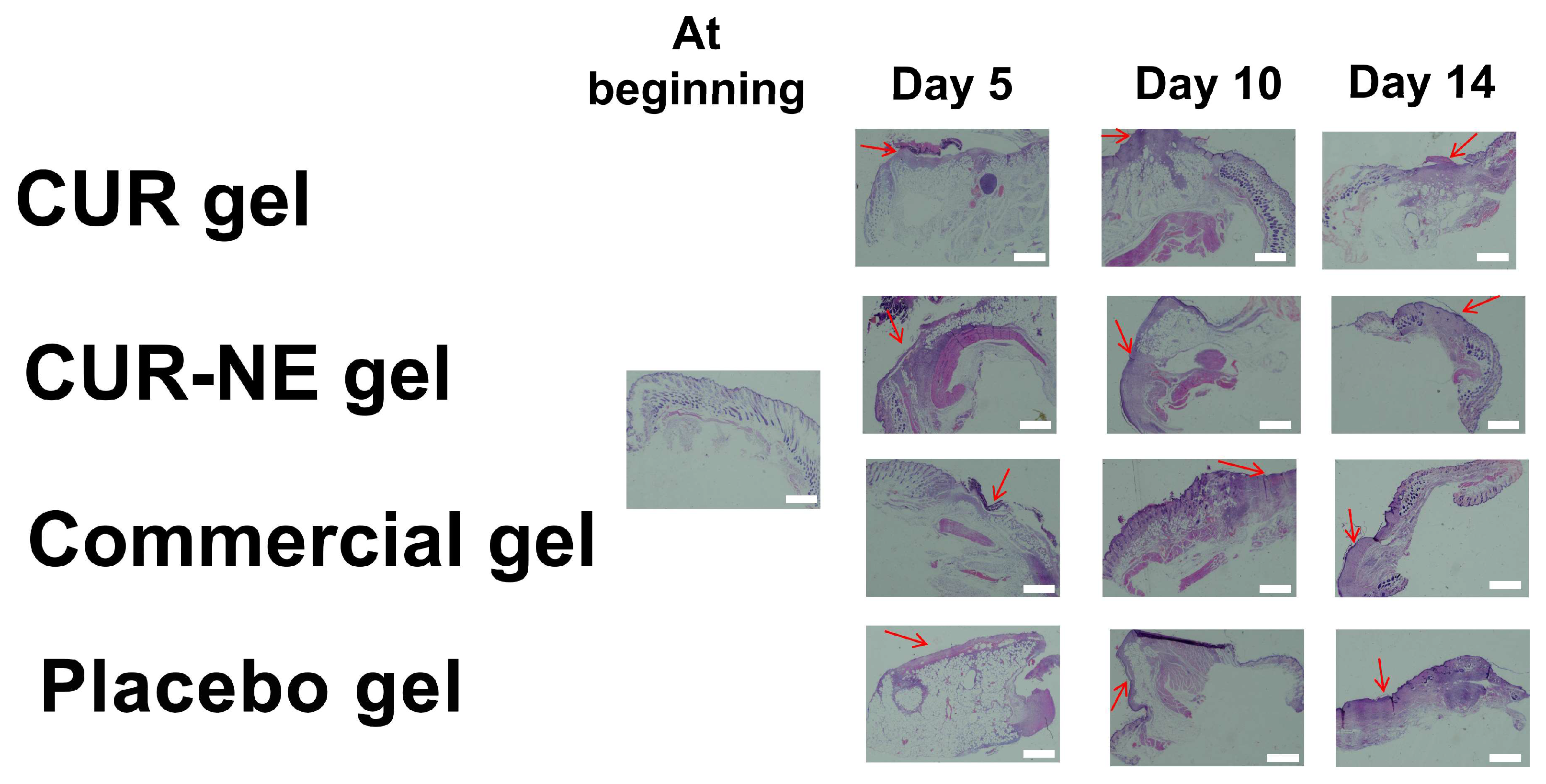 Molecules 28 06433 g006