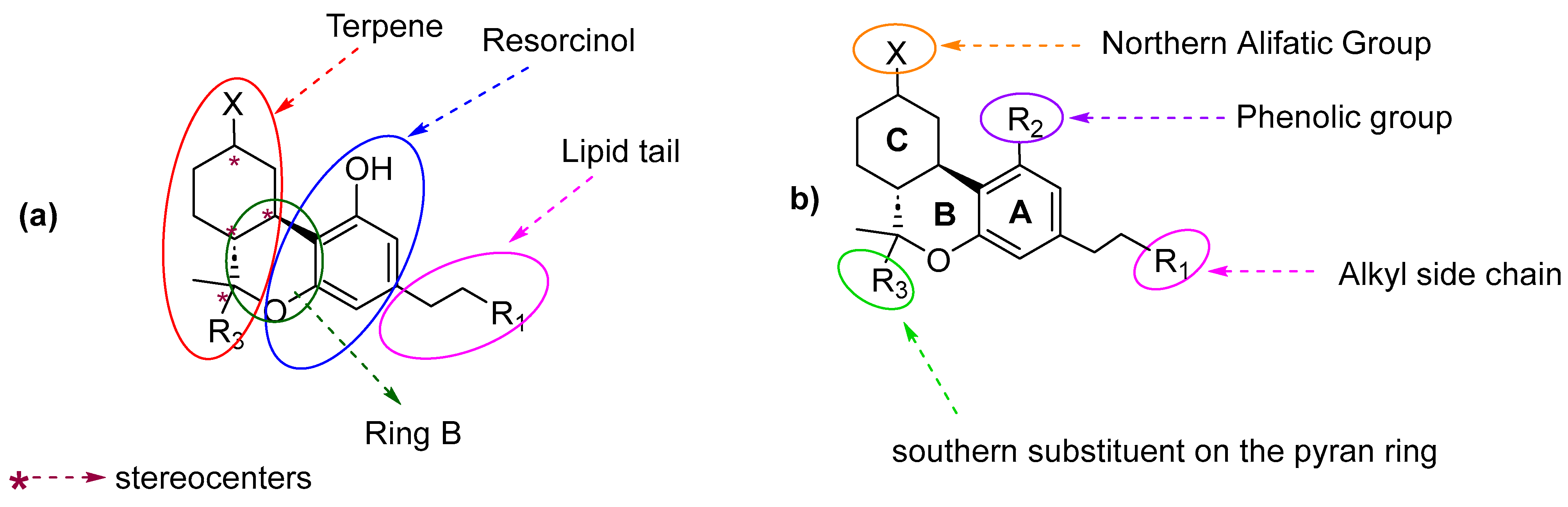 Molecules 28 06434 g005