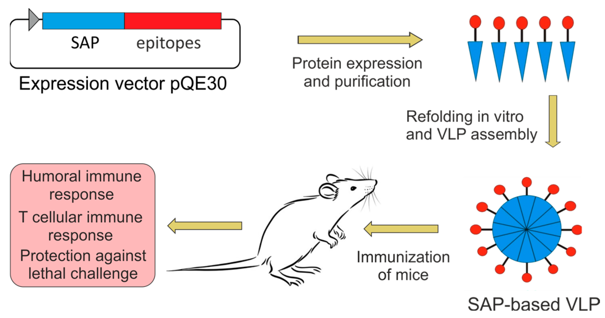 Molecules 28 06441 g001