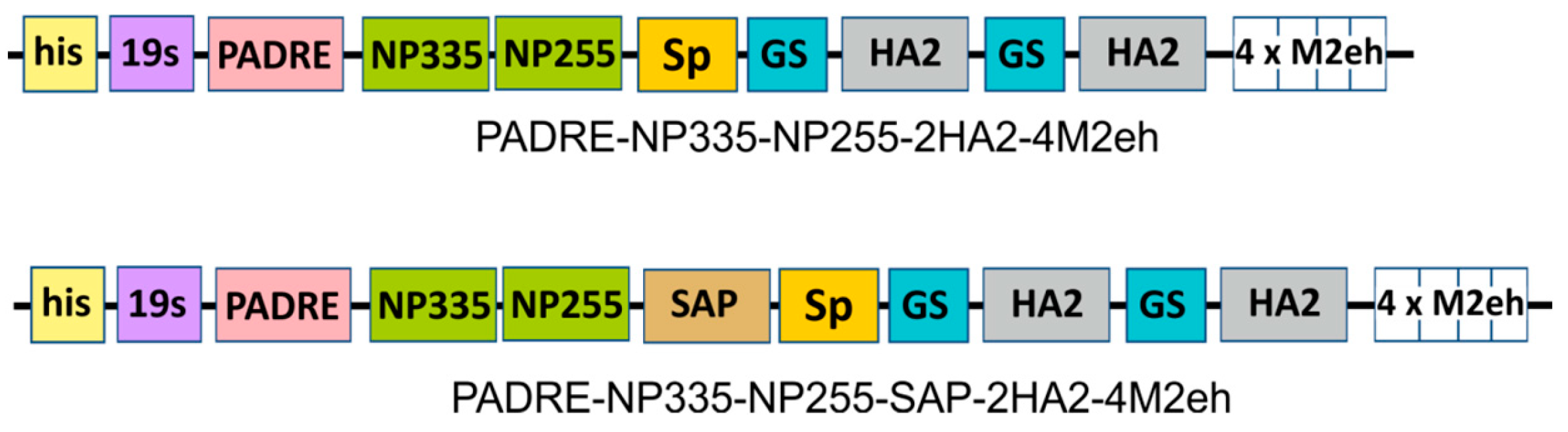 Molecules 28 06441 g002