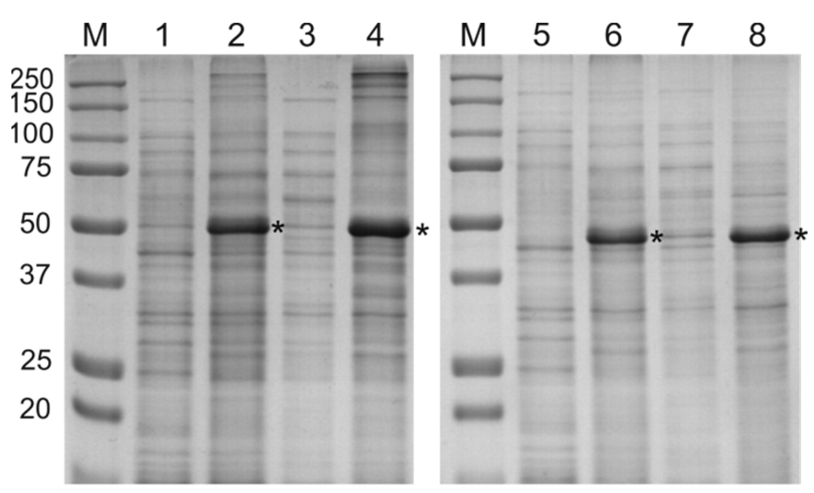 Molecules 28 06441 g003