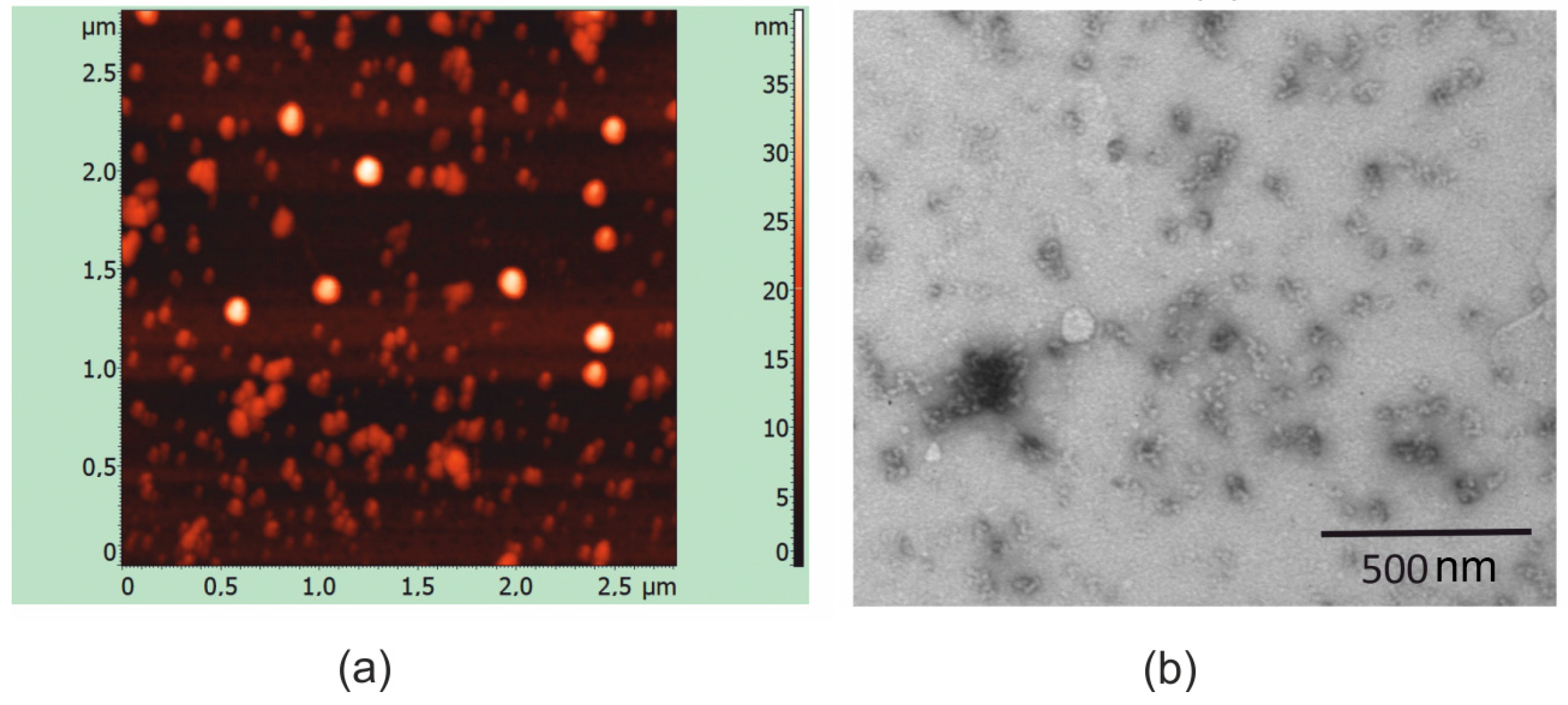 Molecules 28 06441 g005