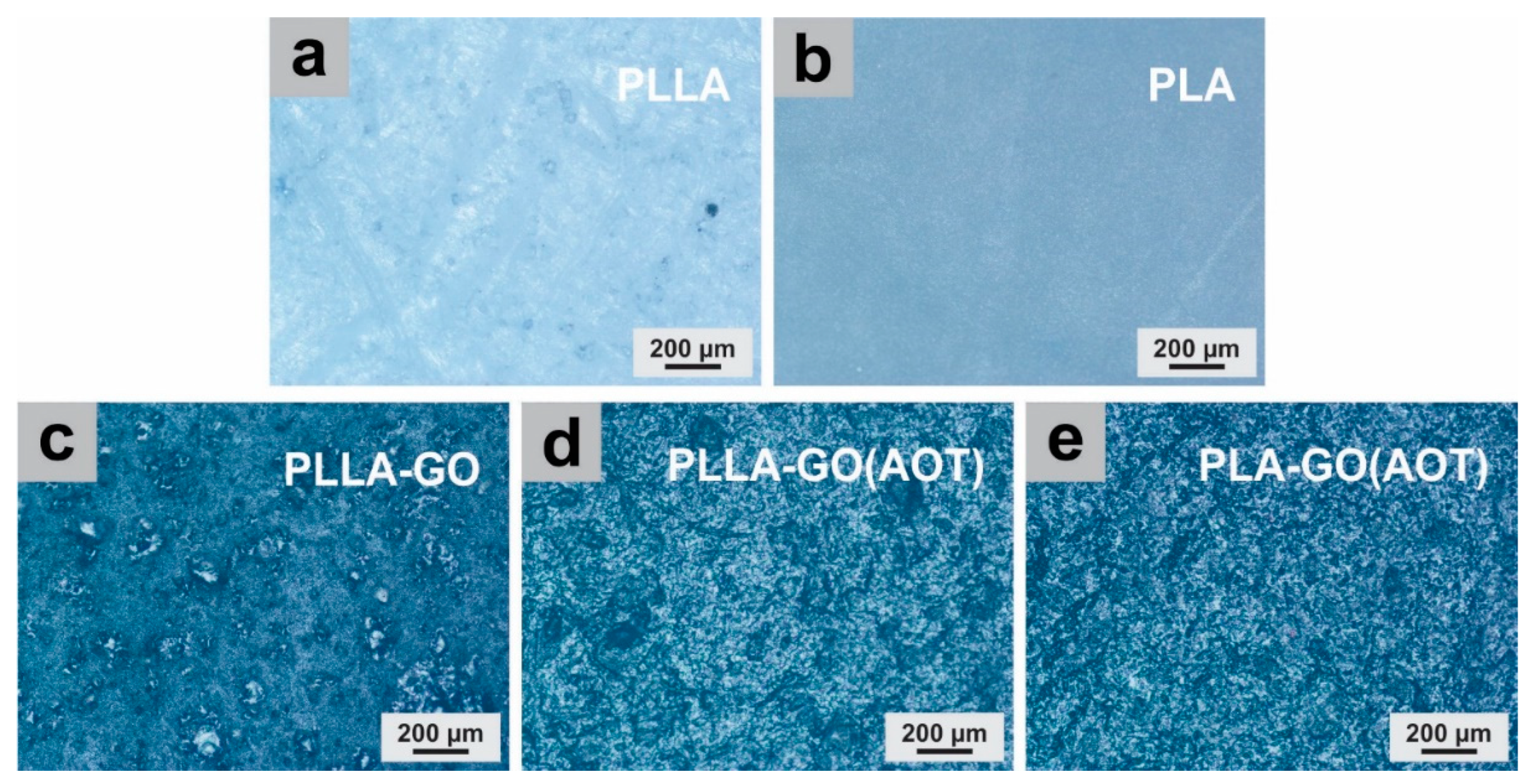 Molecules 28 06442 g002
