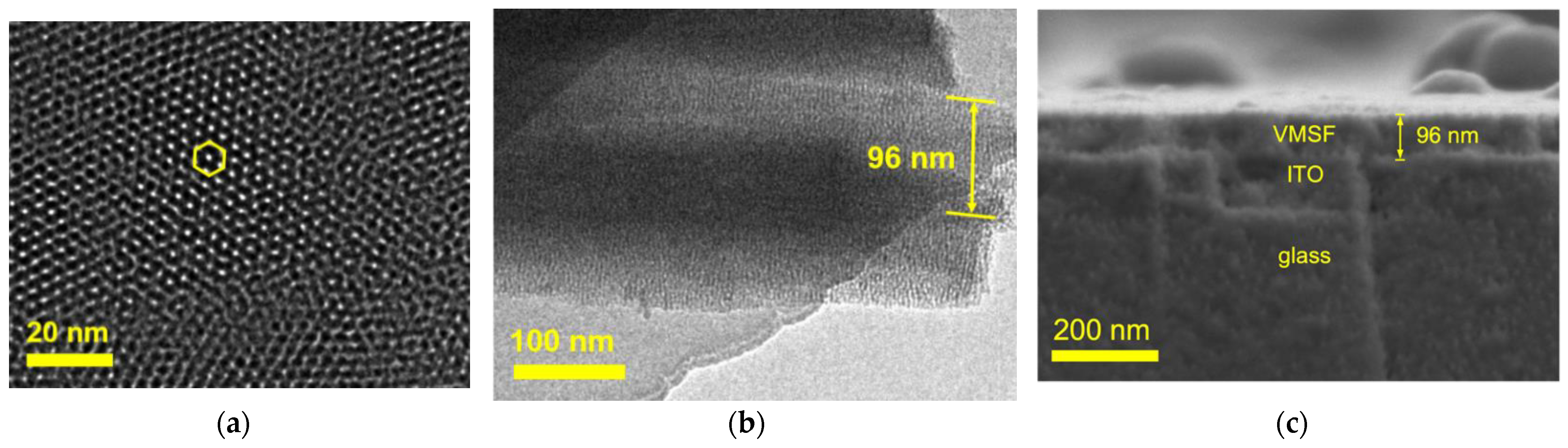 Molecules 28 06443 g002