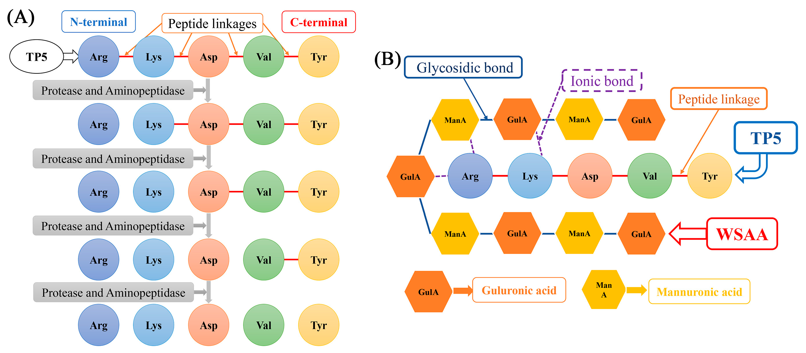 Molecules 28 06445 g002