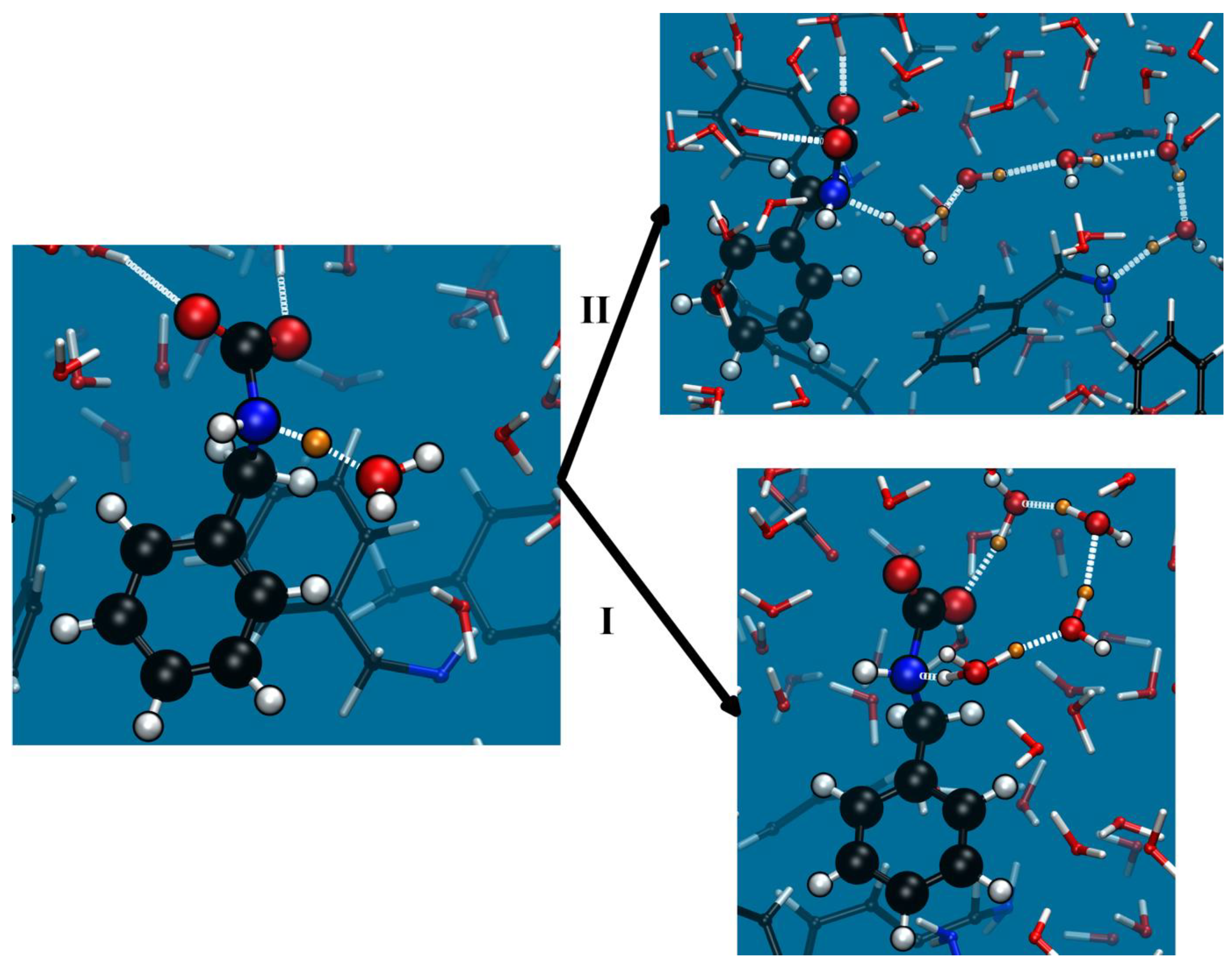 Molecules 28 06447 g004