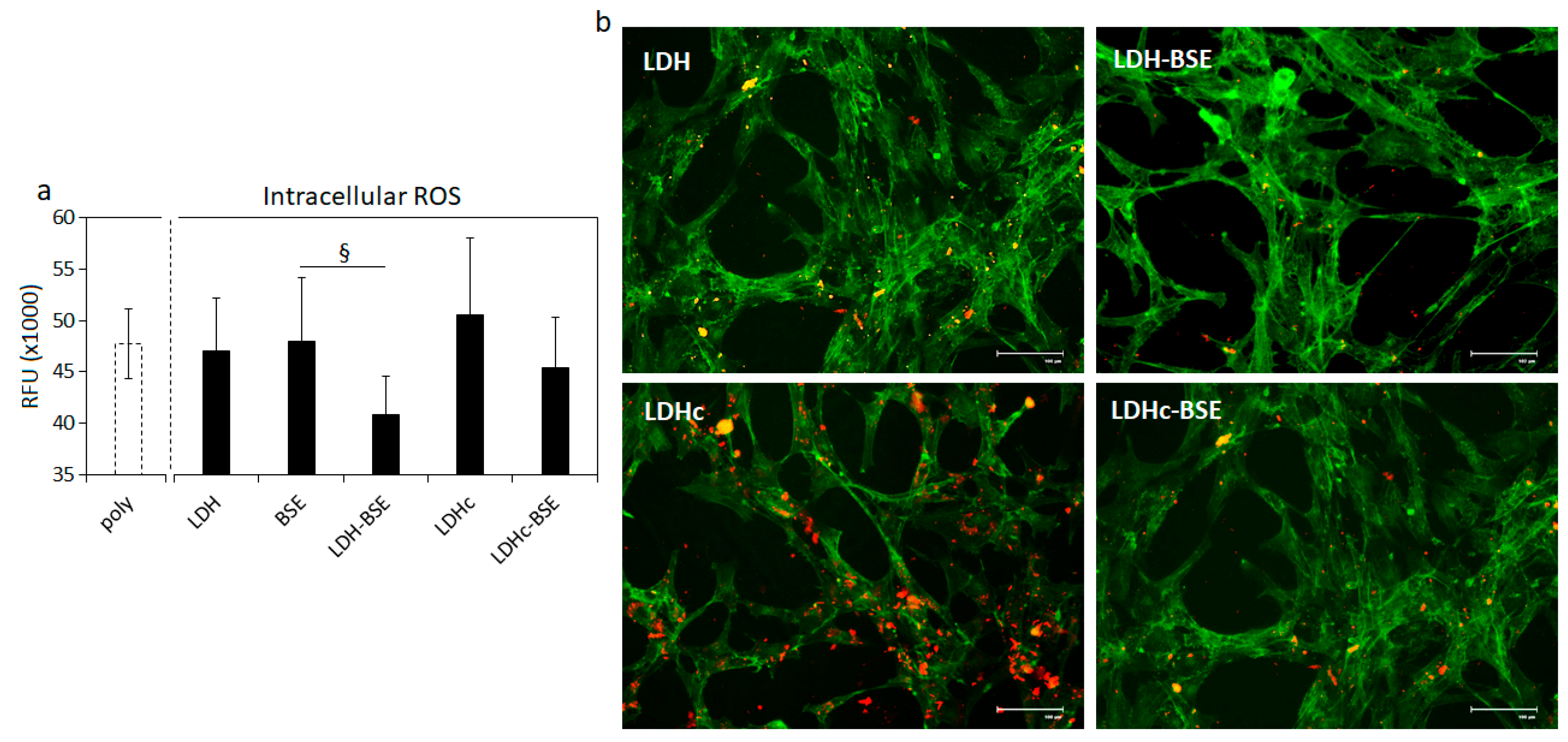 Molecules 28 06449 g008