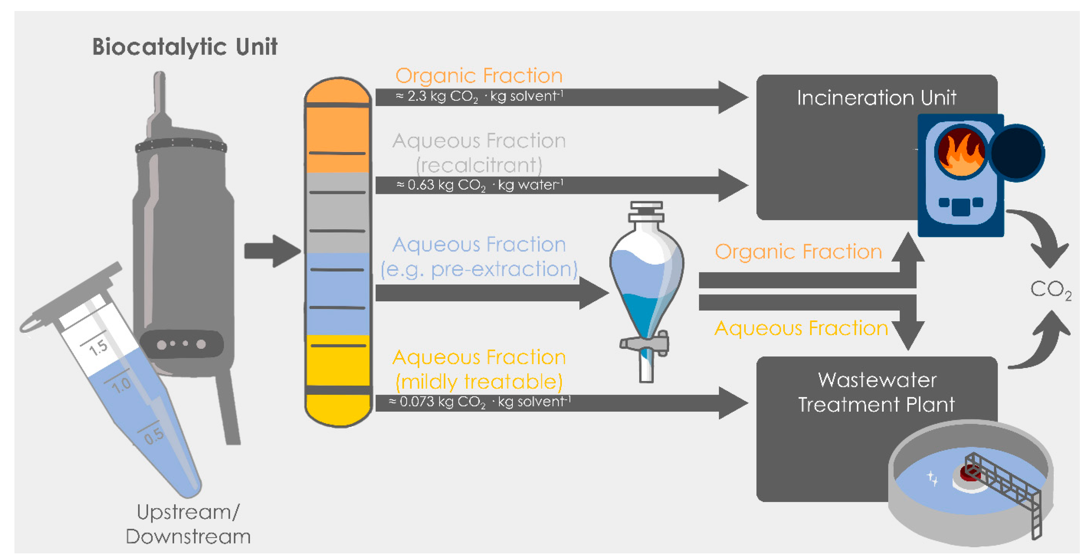 Biocatalysis in Water or in Non-Conventional Media? Adding the CO2