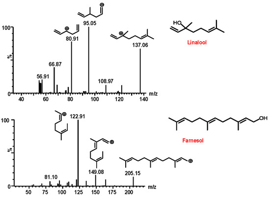 Development of a Liquid Chromatography–Tandem Mass Spectrometry (LC–MS ...