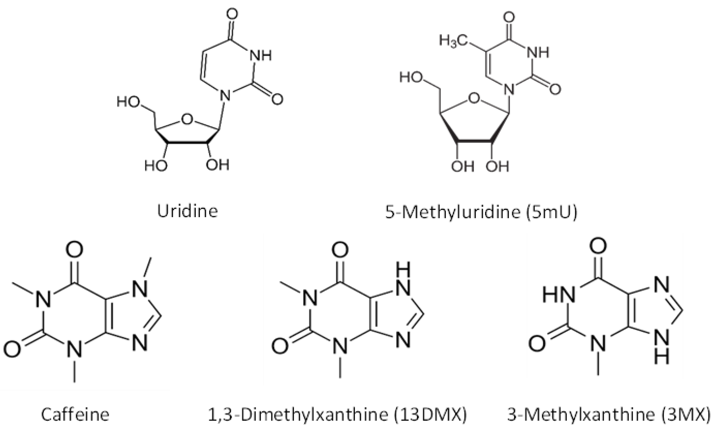 Molecules 28 06459 g001