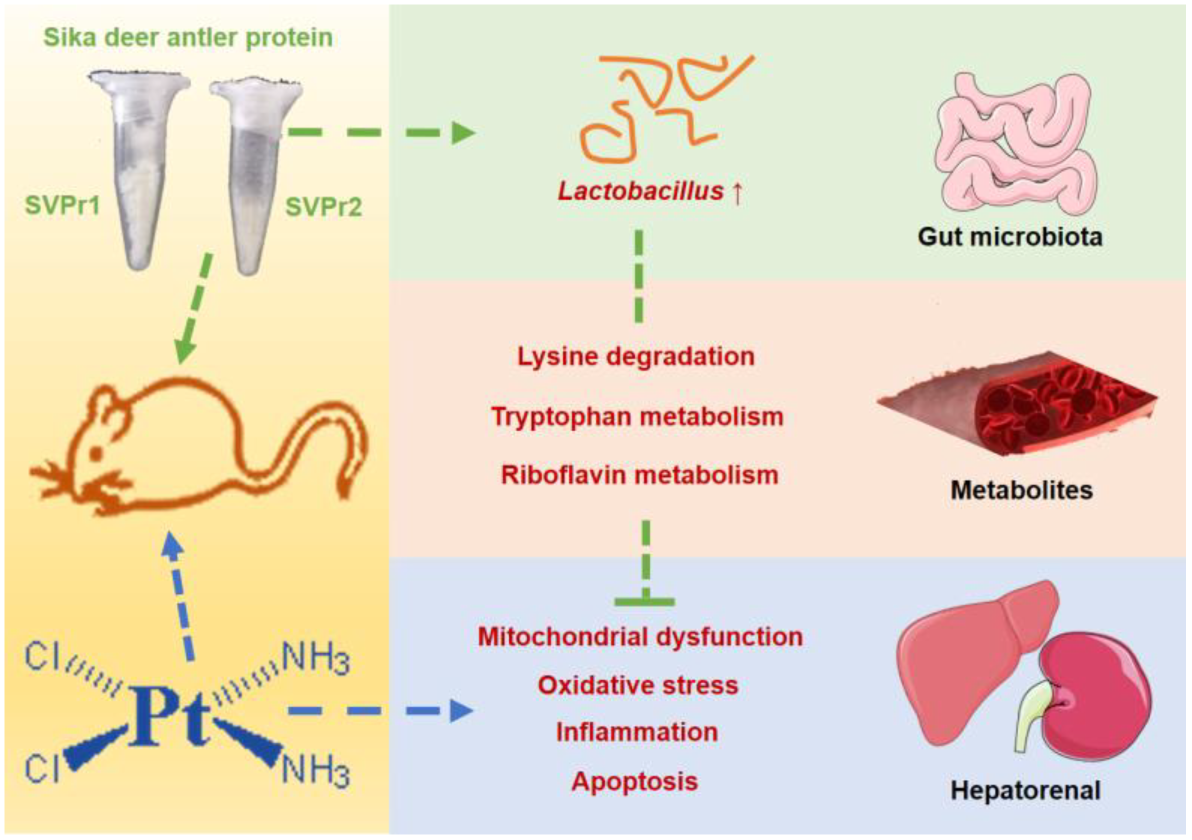 Molecules 28 06463 g010