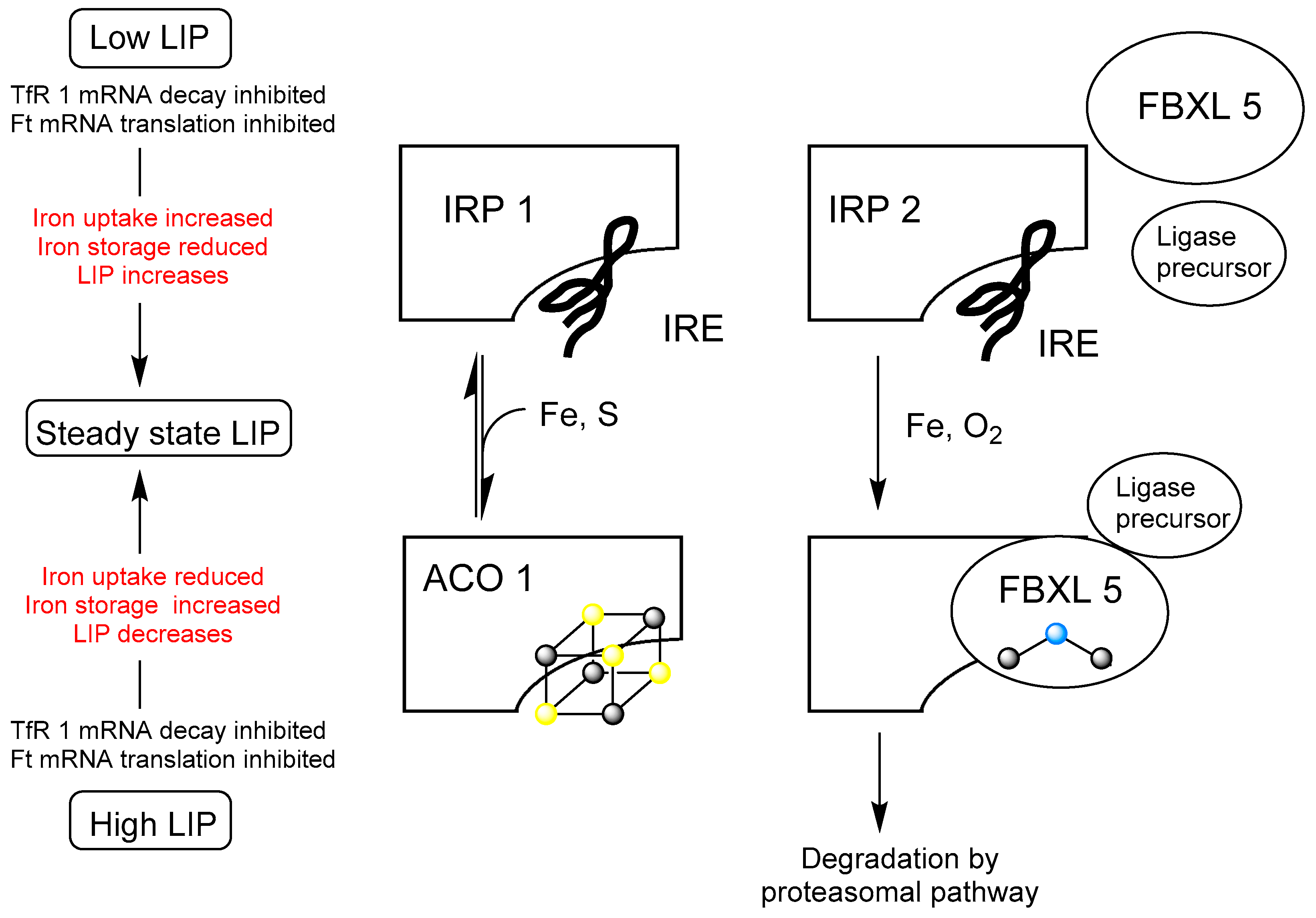 Molecules 28 06467 g001 Molecules 28 06467 g001