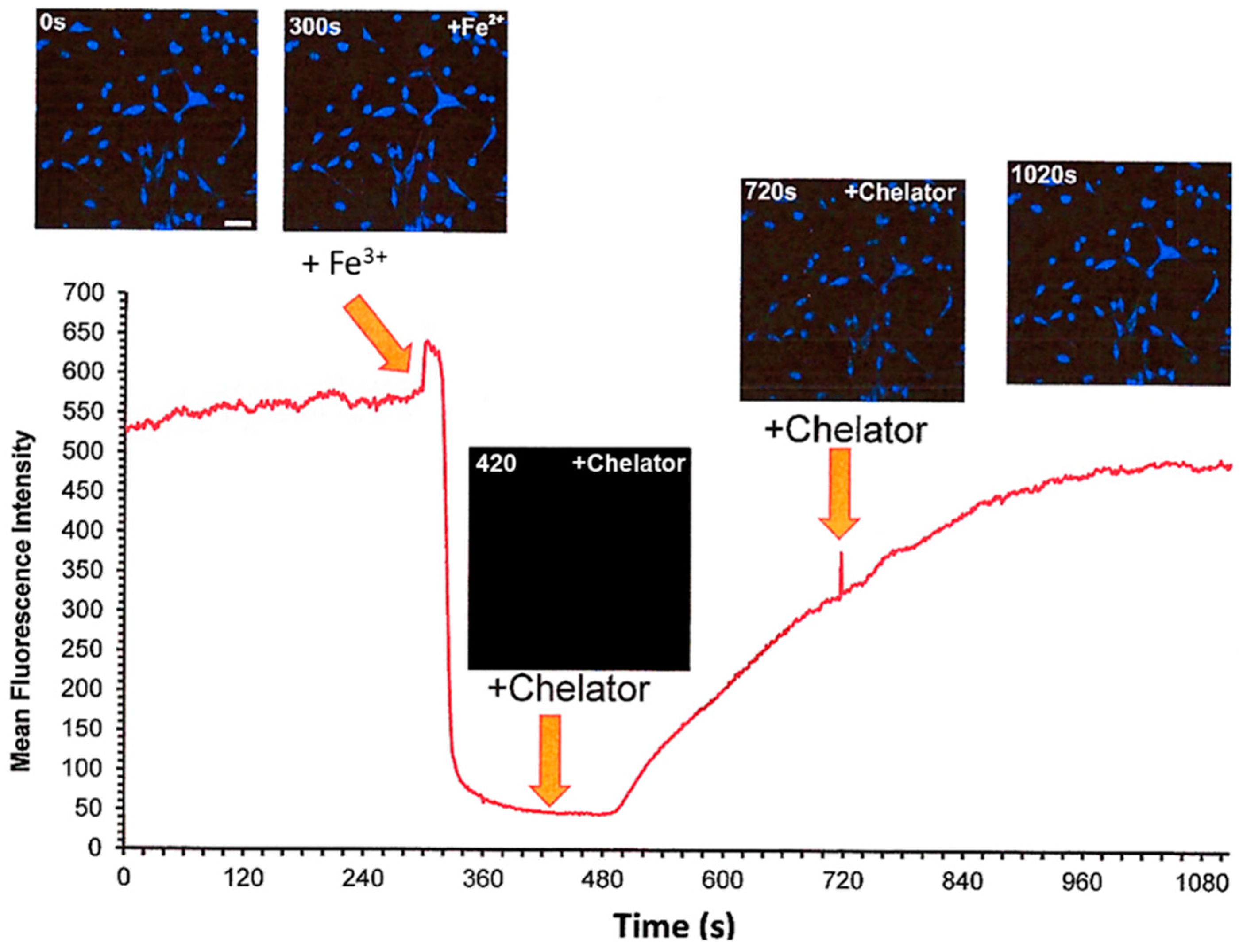 Molecules 28 06467 g012 Molecules 28 06467 g012