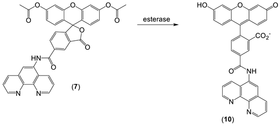 Molecules 28 06467 i008