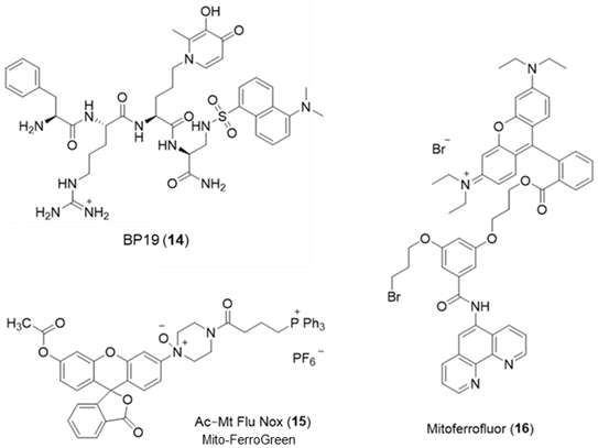 Molecules 28 06467 i012 Molecules 28 06467 i012