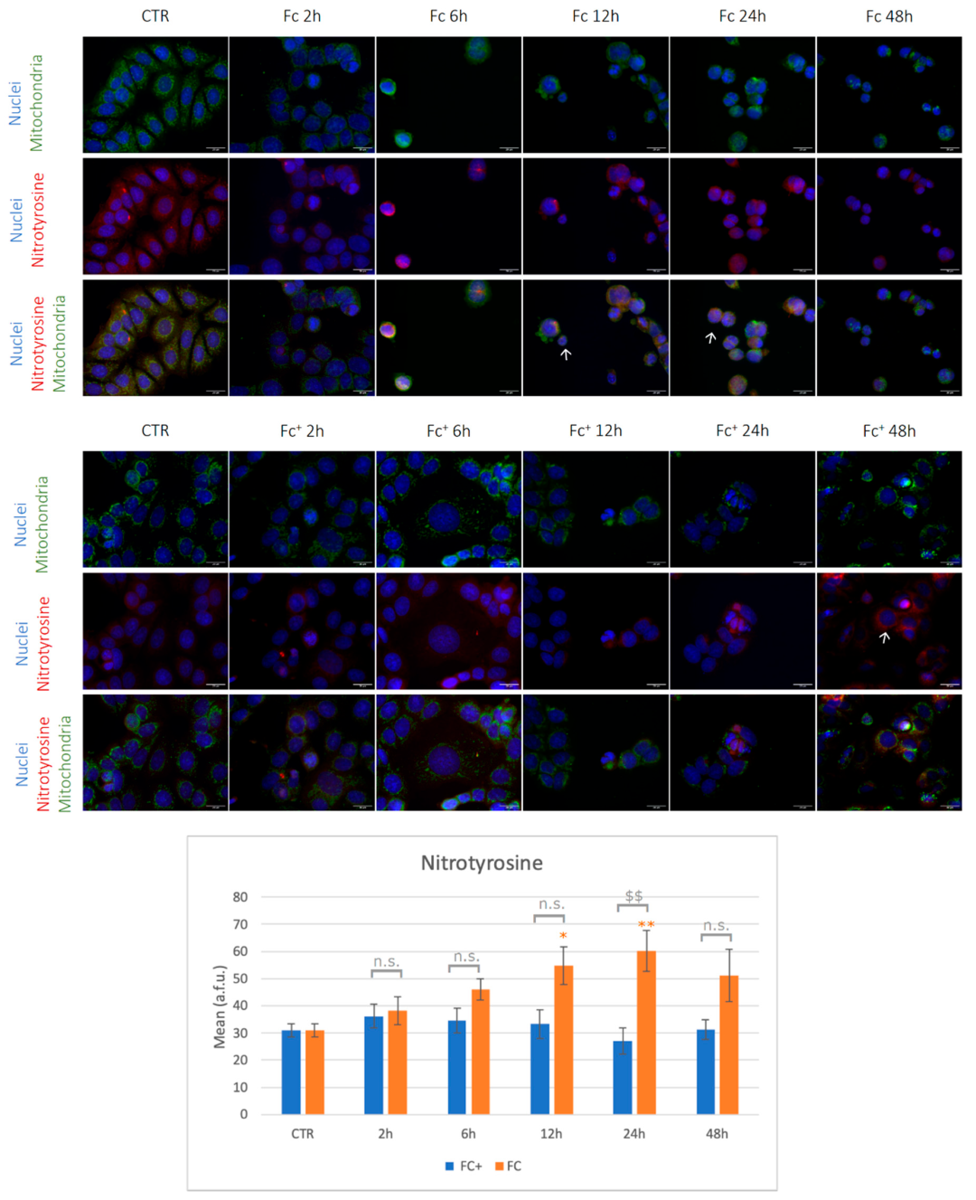 Molecules 28 06469 g004