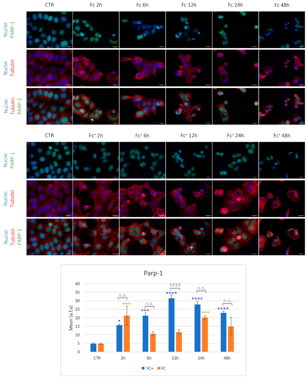 Molecules 28 06469 g009