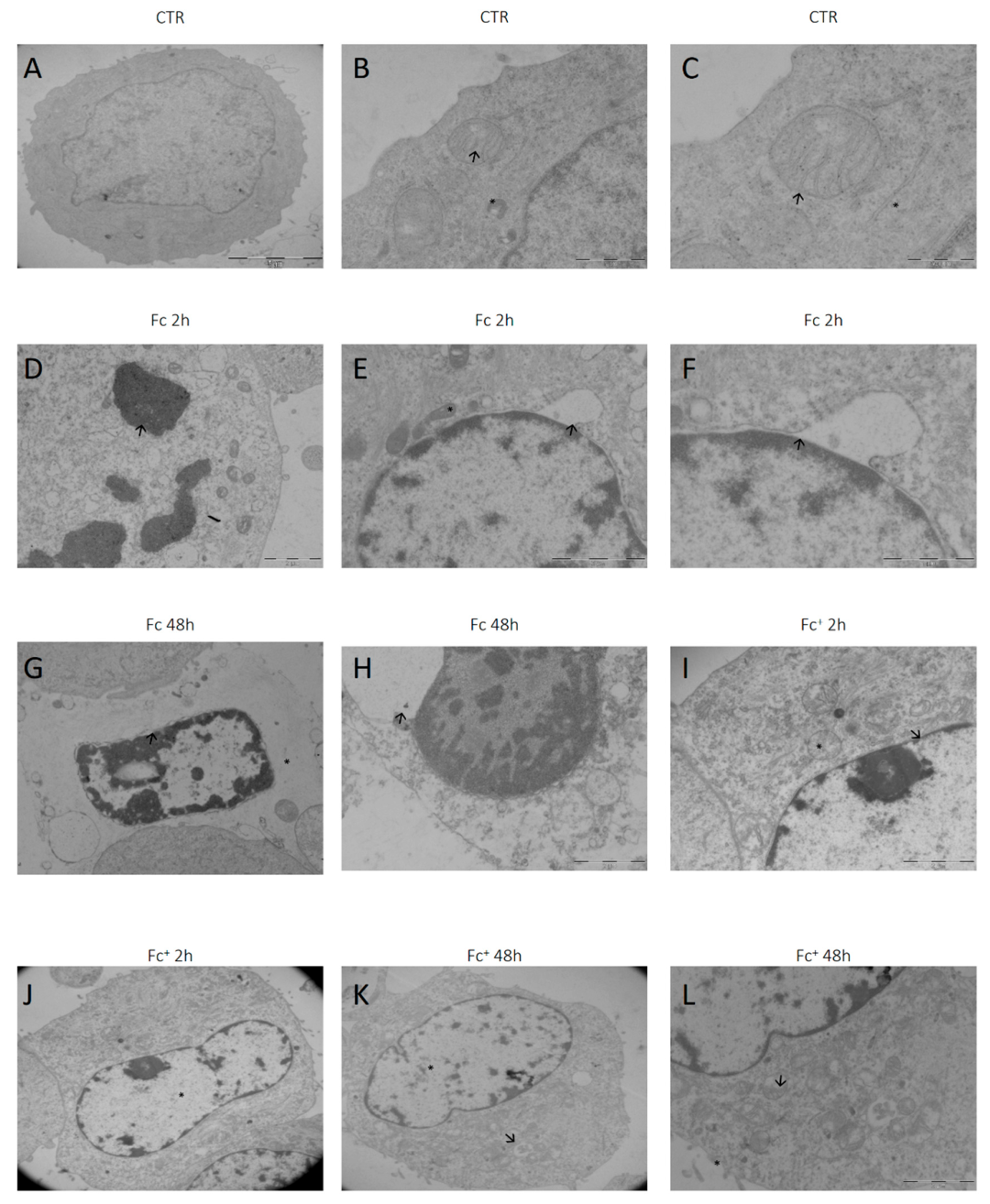 Molecules 28 06469 g013