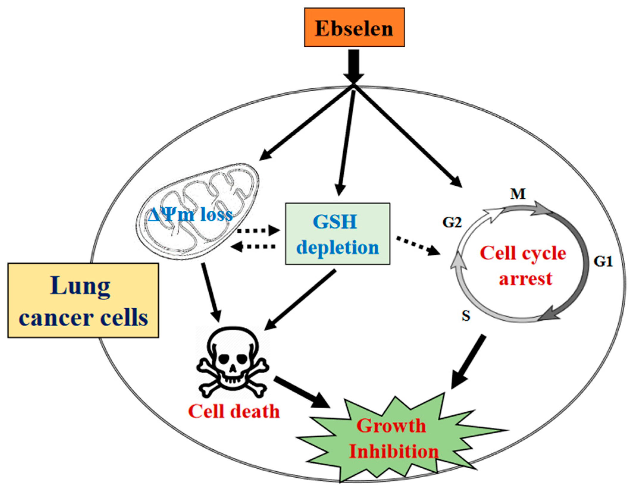 Molecules 28 06472 g007