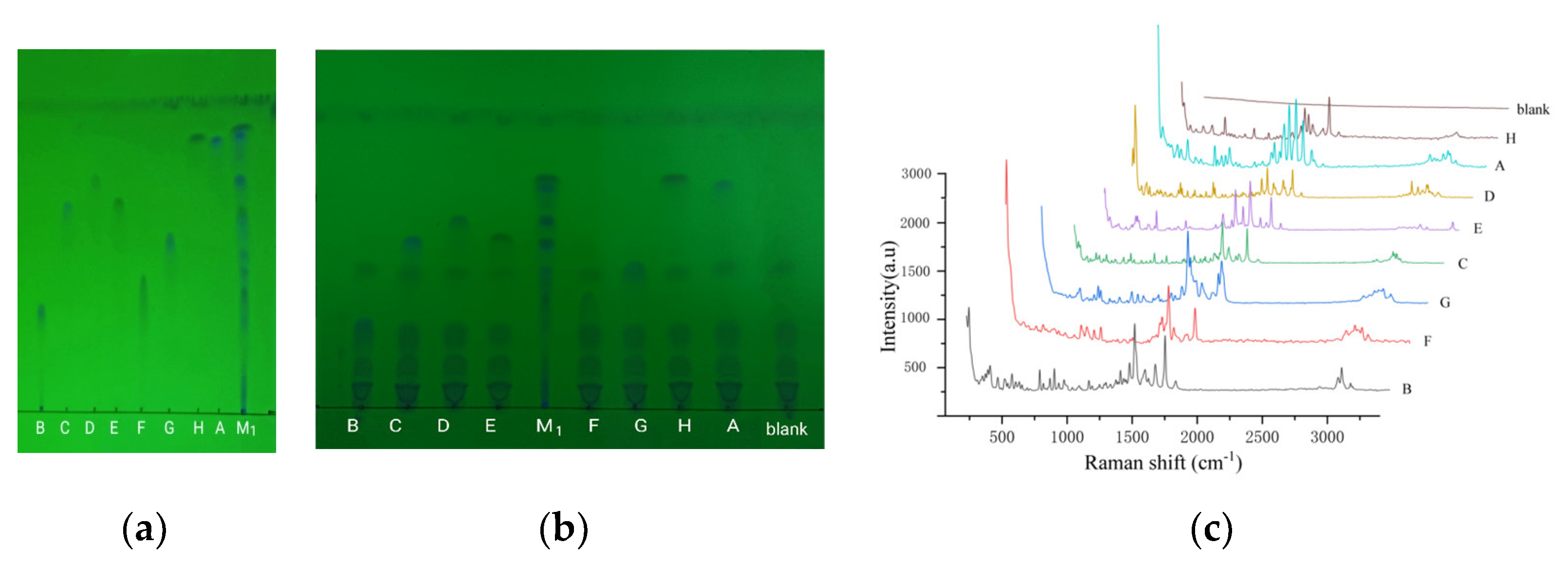 Molecules 28 06473 g002