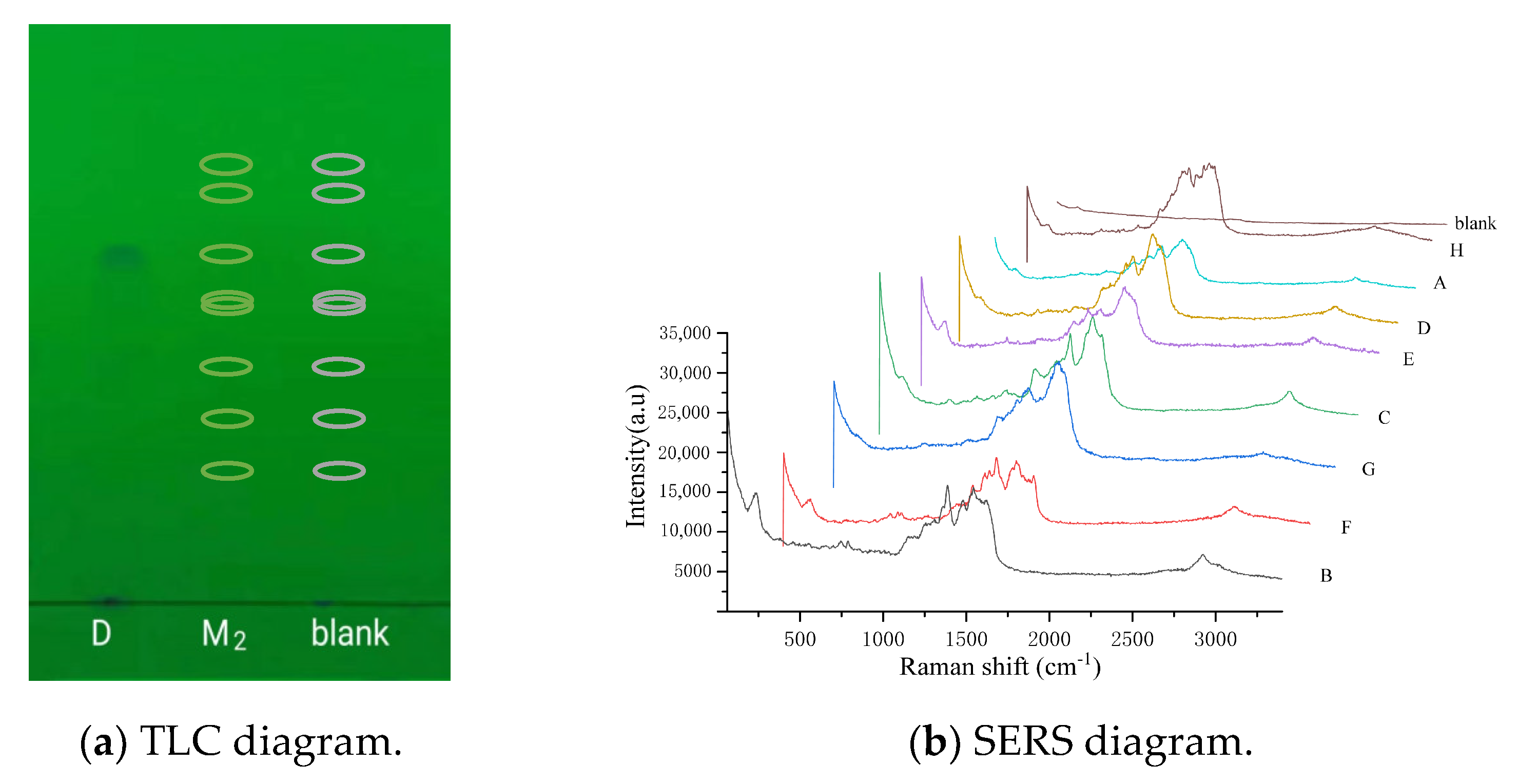 Molecules 28 06473 g003