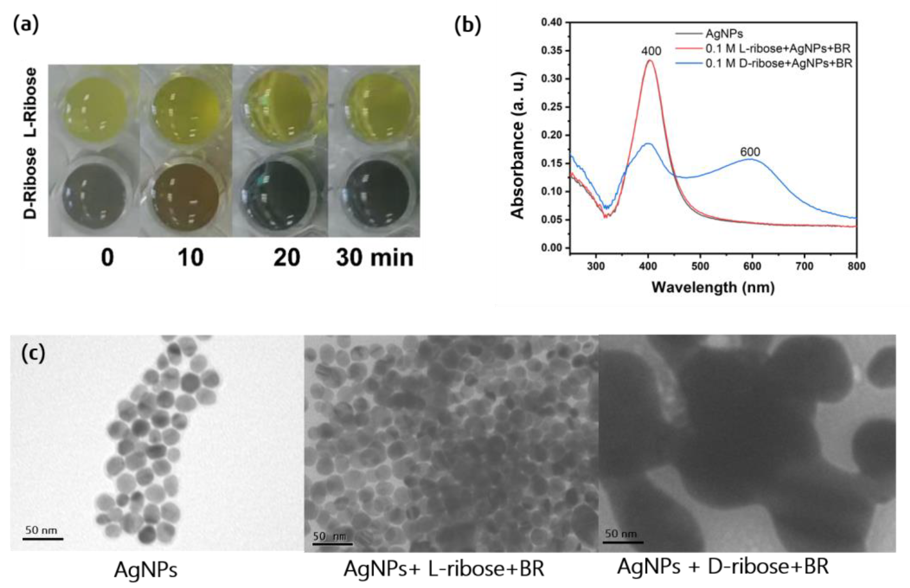 Molecules 28 06480 g002