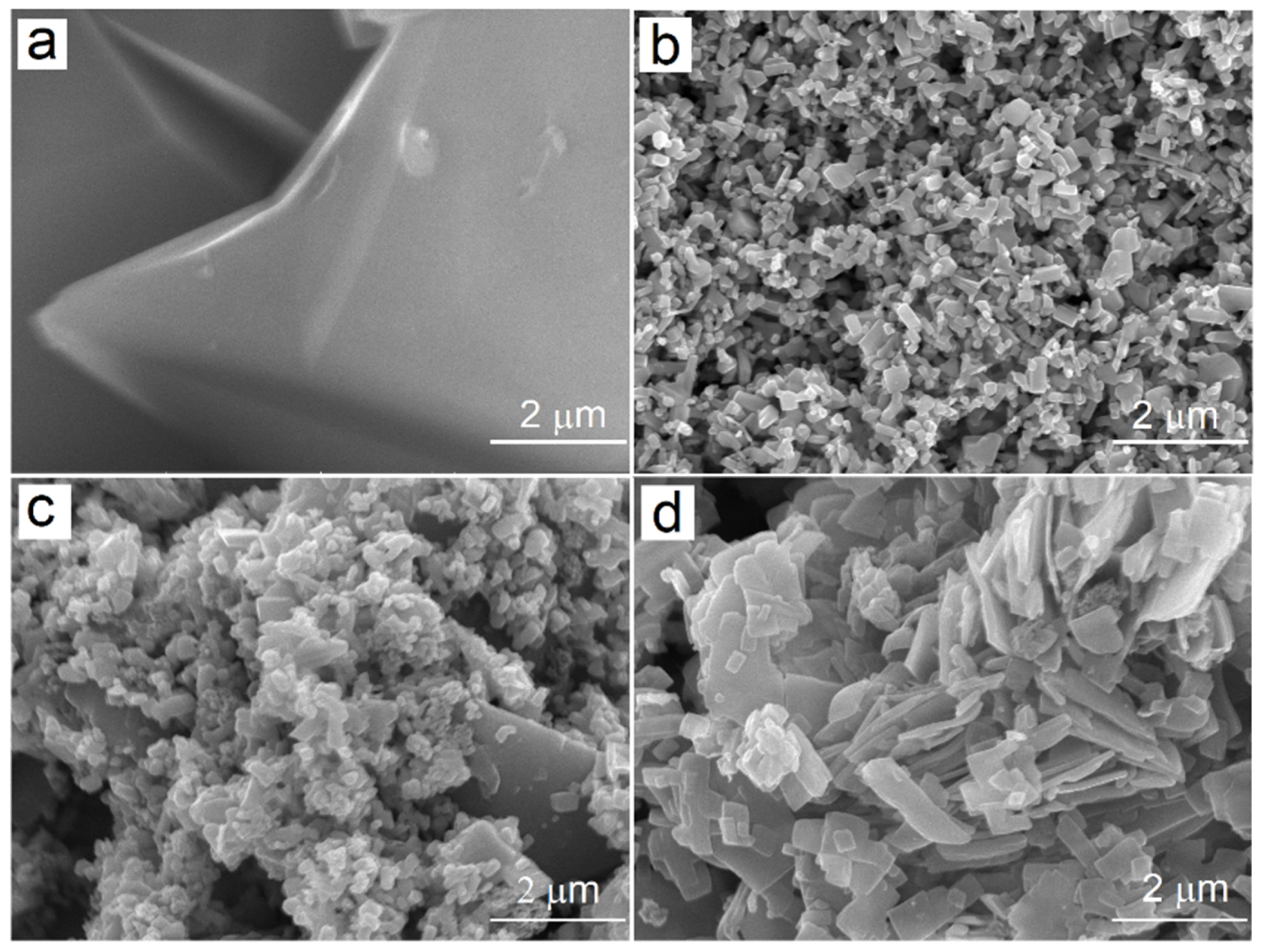 Molecules 28 06481 g005