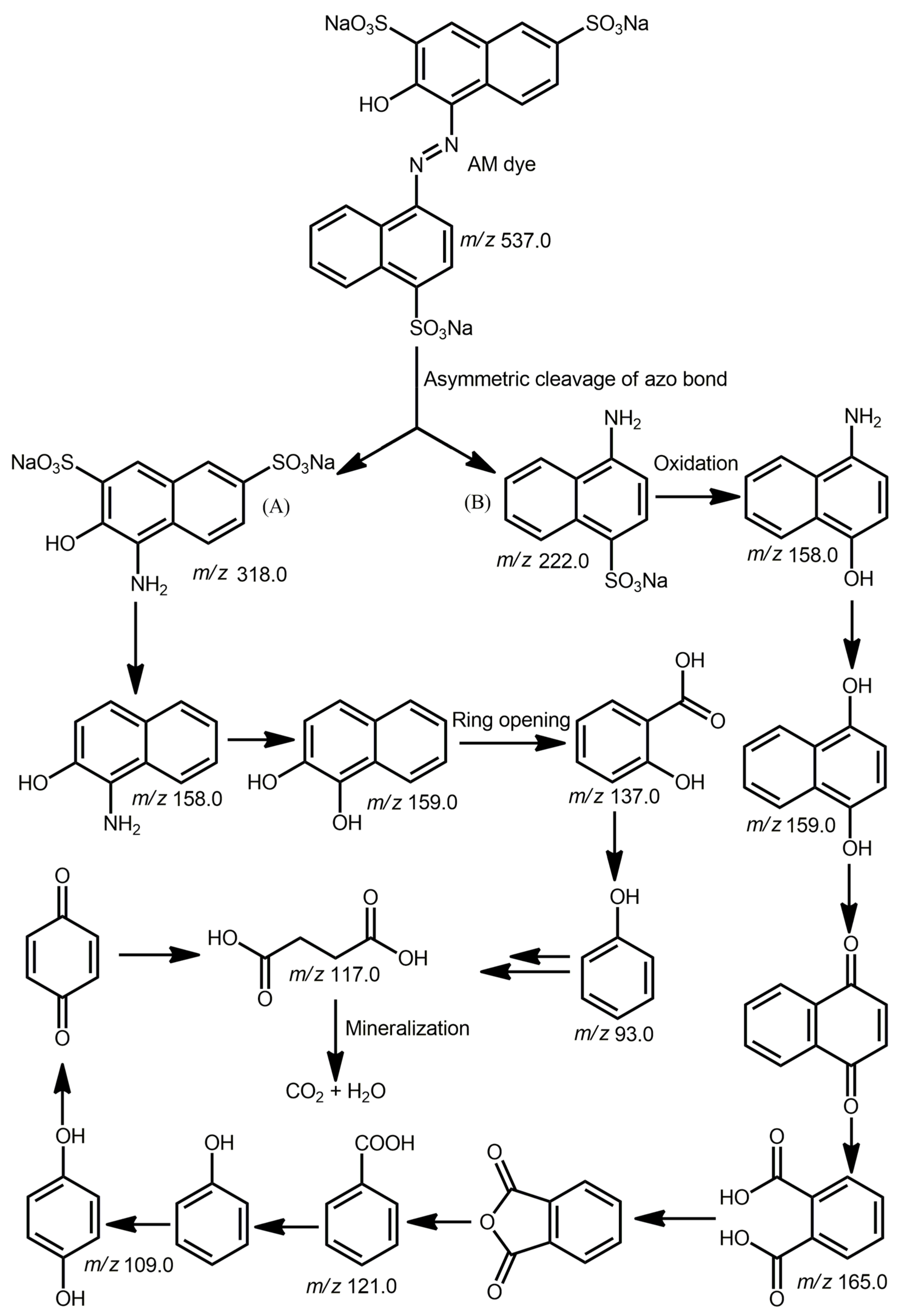 Molecules 28 06481 g008