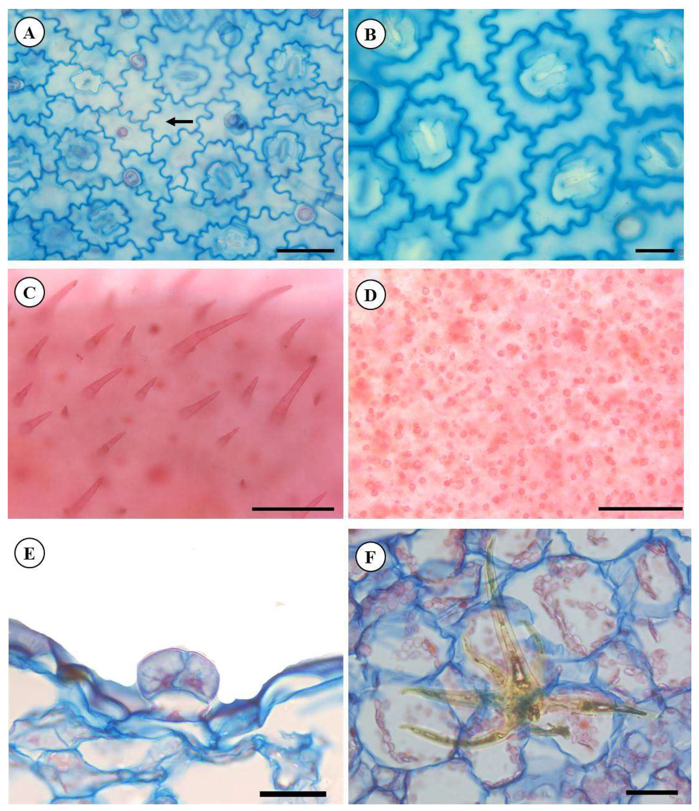 Molecules 28 06482 g002 Molecules 28 06482 g002
