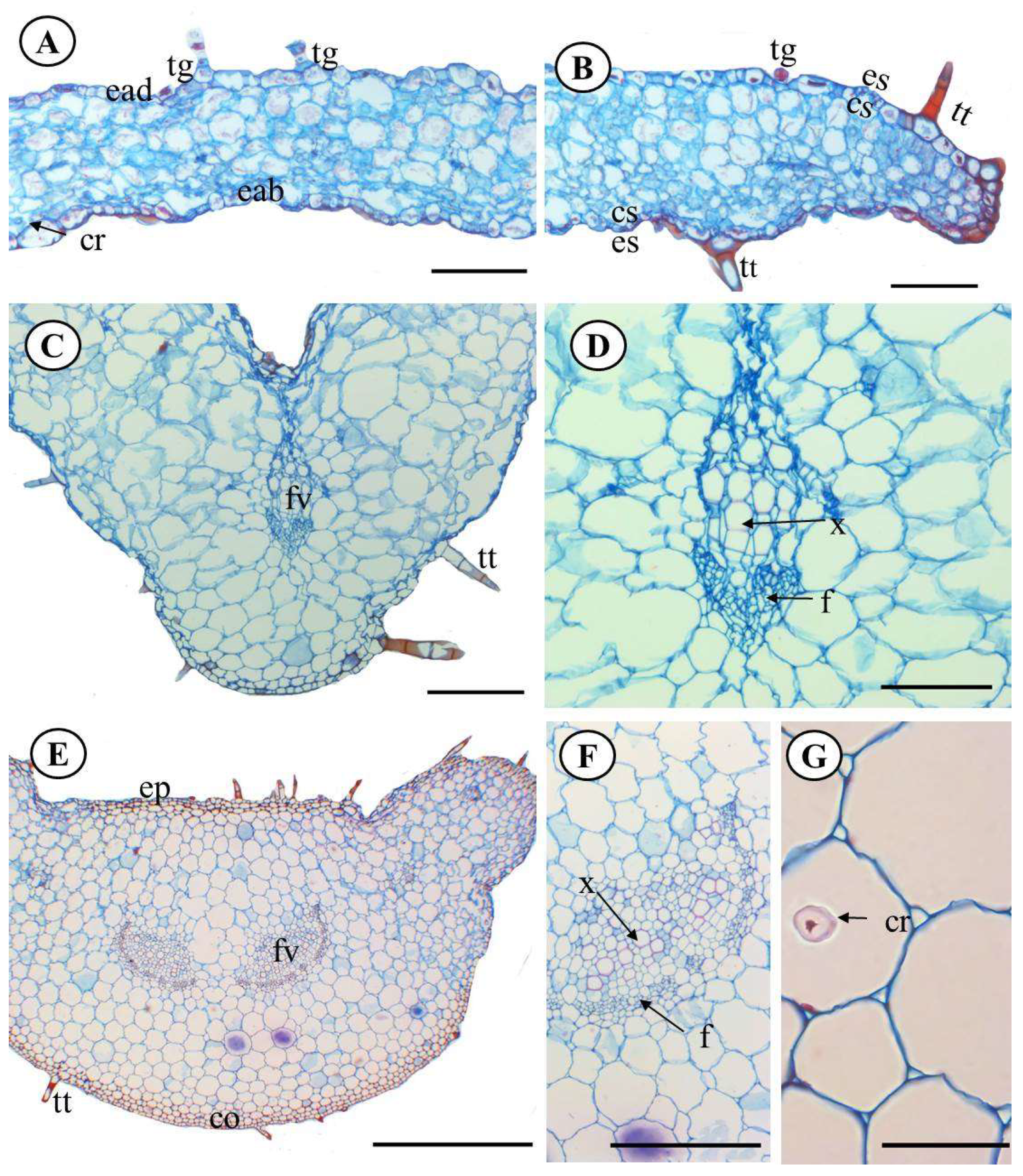 Molecules 28 06482 g003 Molecules 28 06482 g003