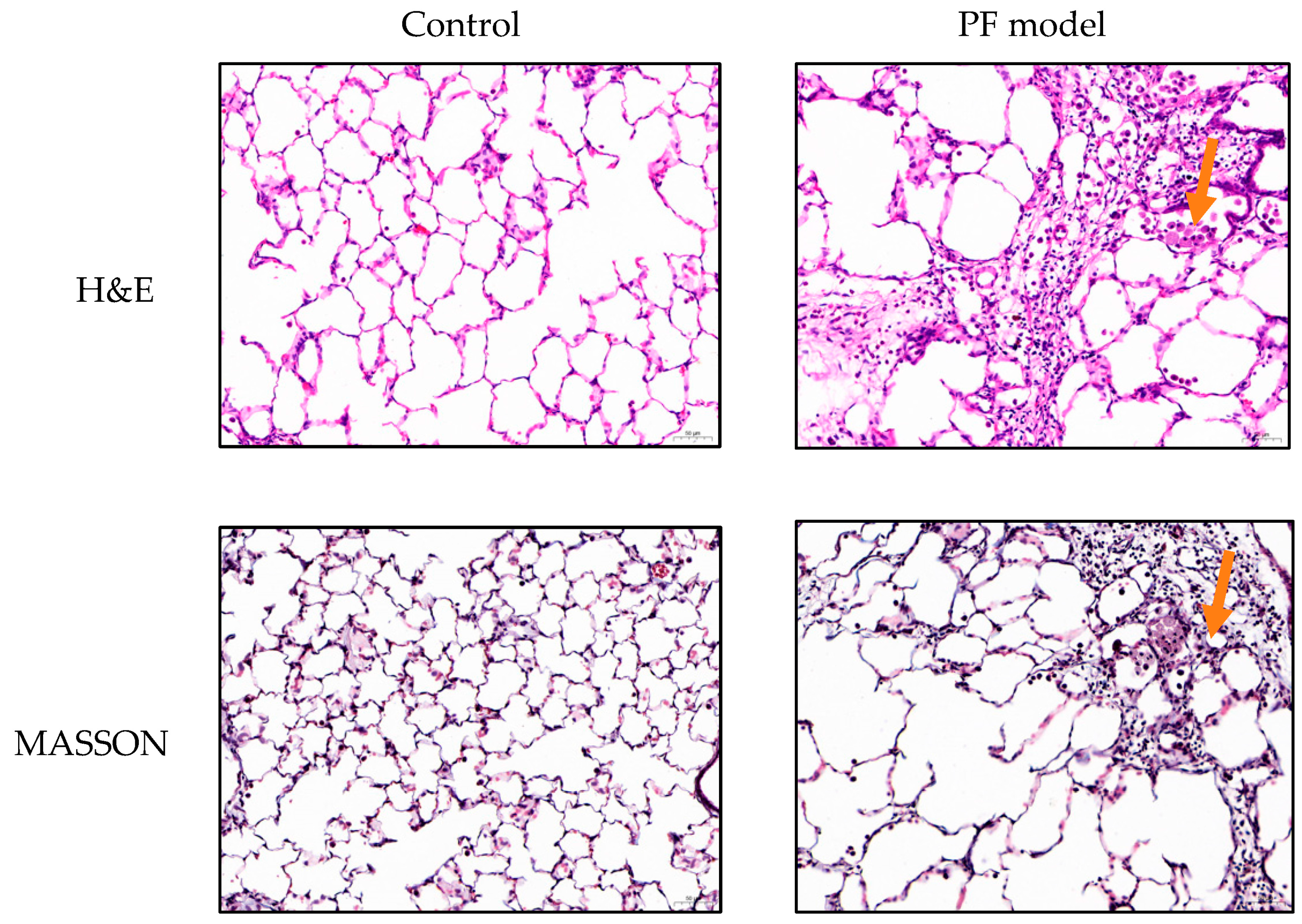 Molecules 28 06492 g002