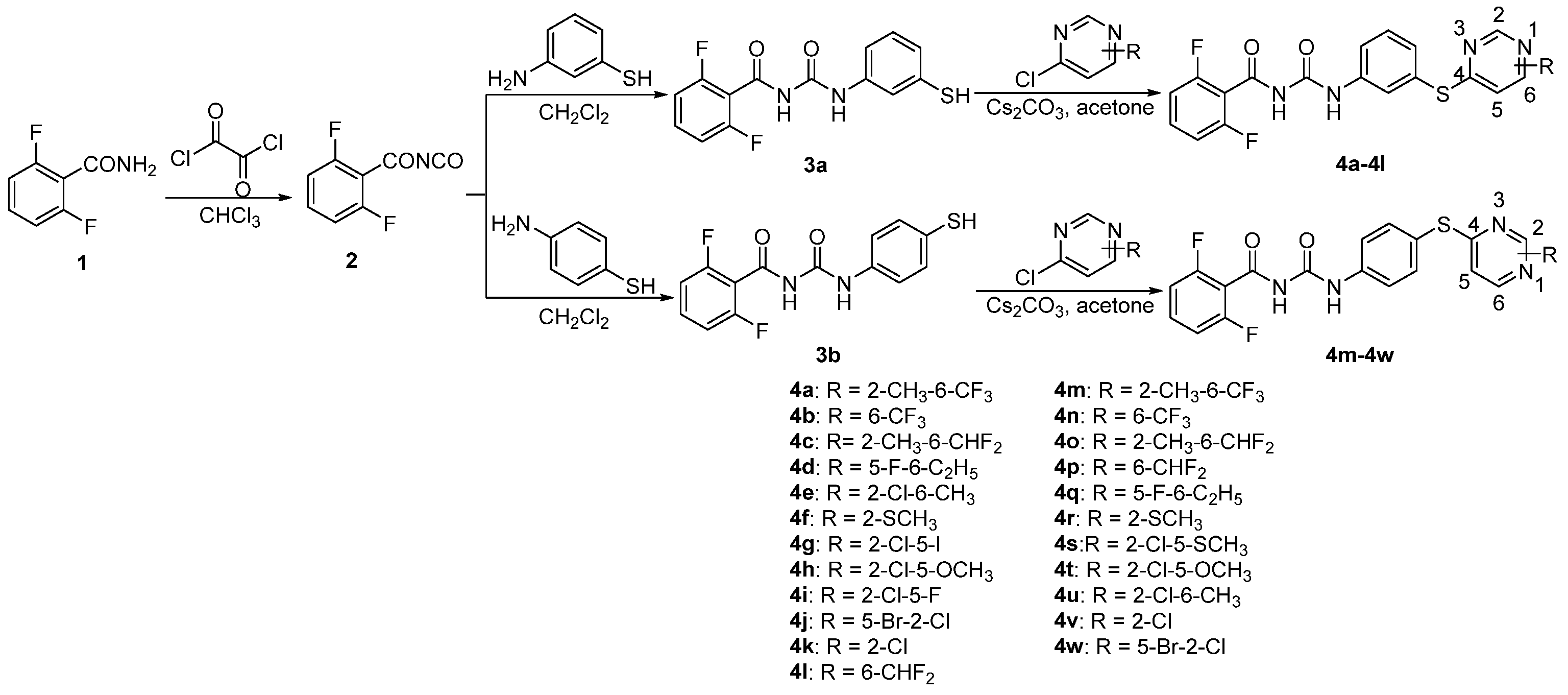 Molecules 28 06498 sch001