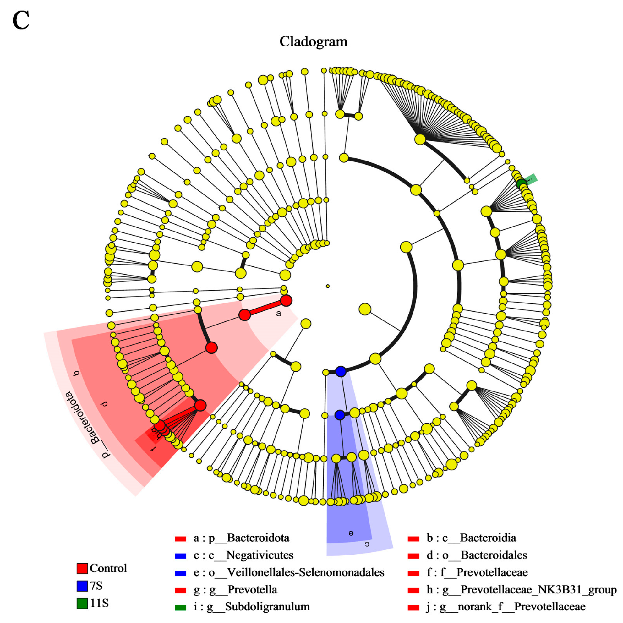 Molecules 28 06500 g004b